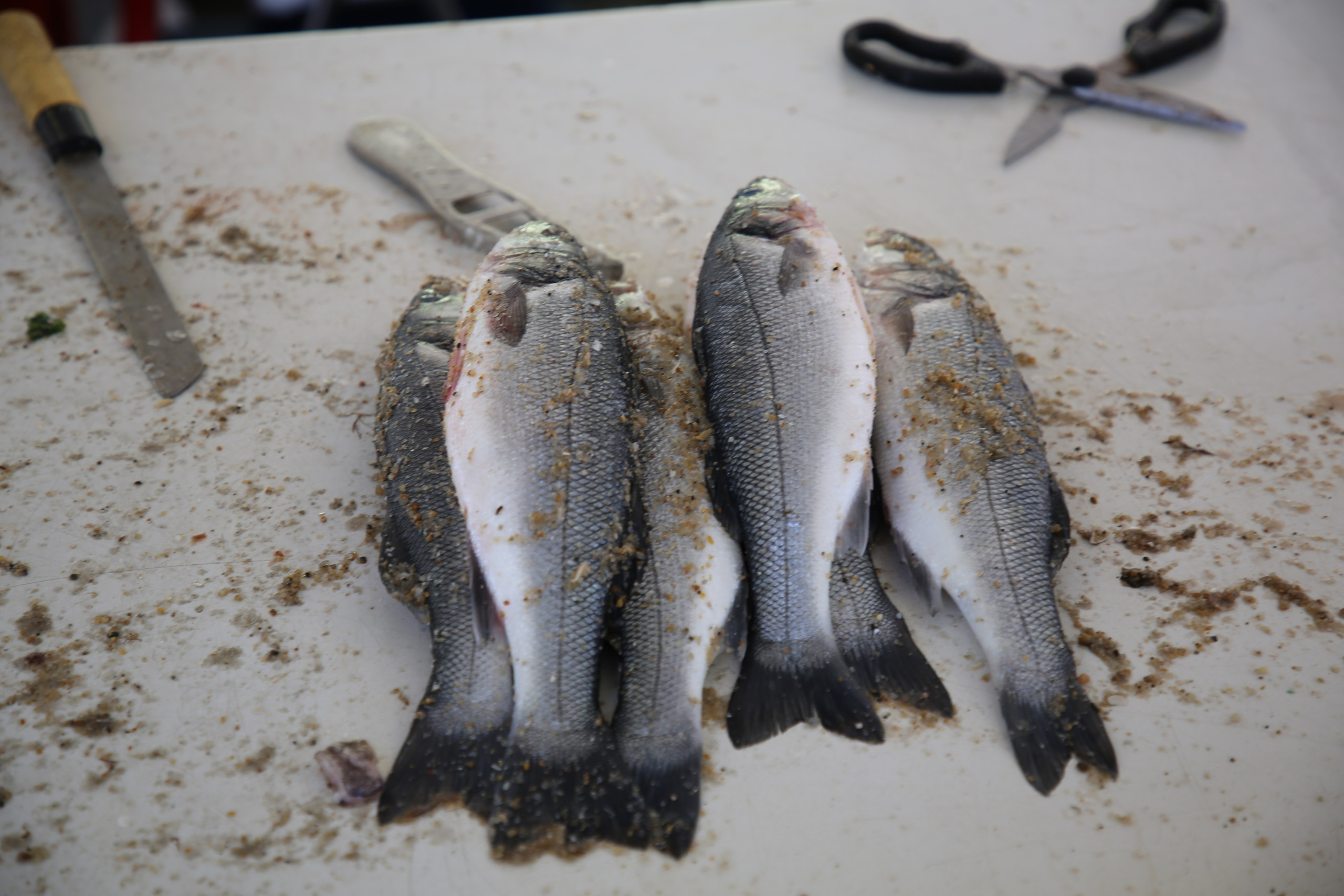 Espihnio, Portugal. Andrey Filippov Photographer