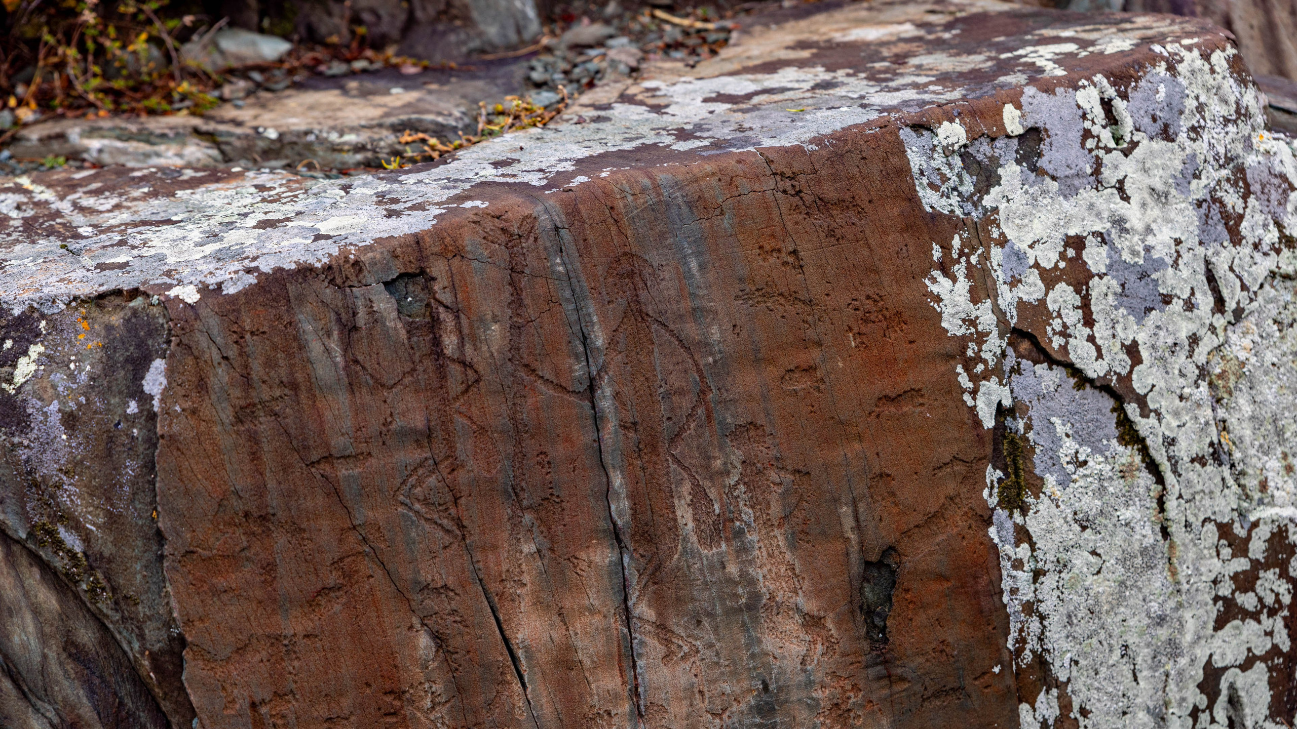 2025 09 Алтай. Чуйский тракт. Фотографии