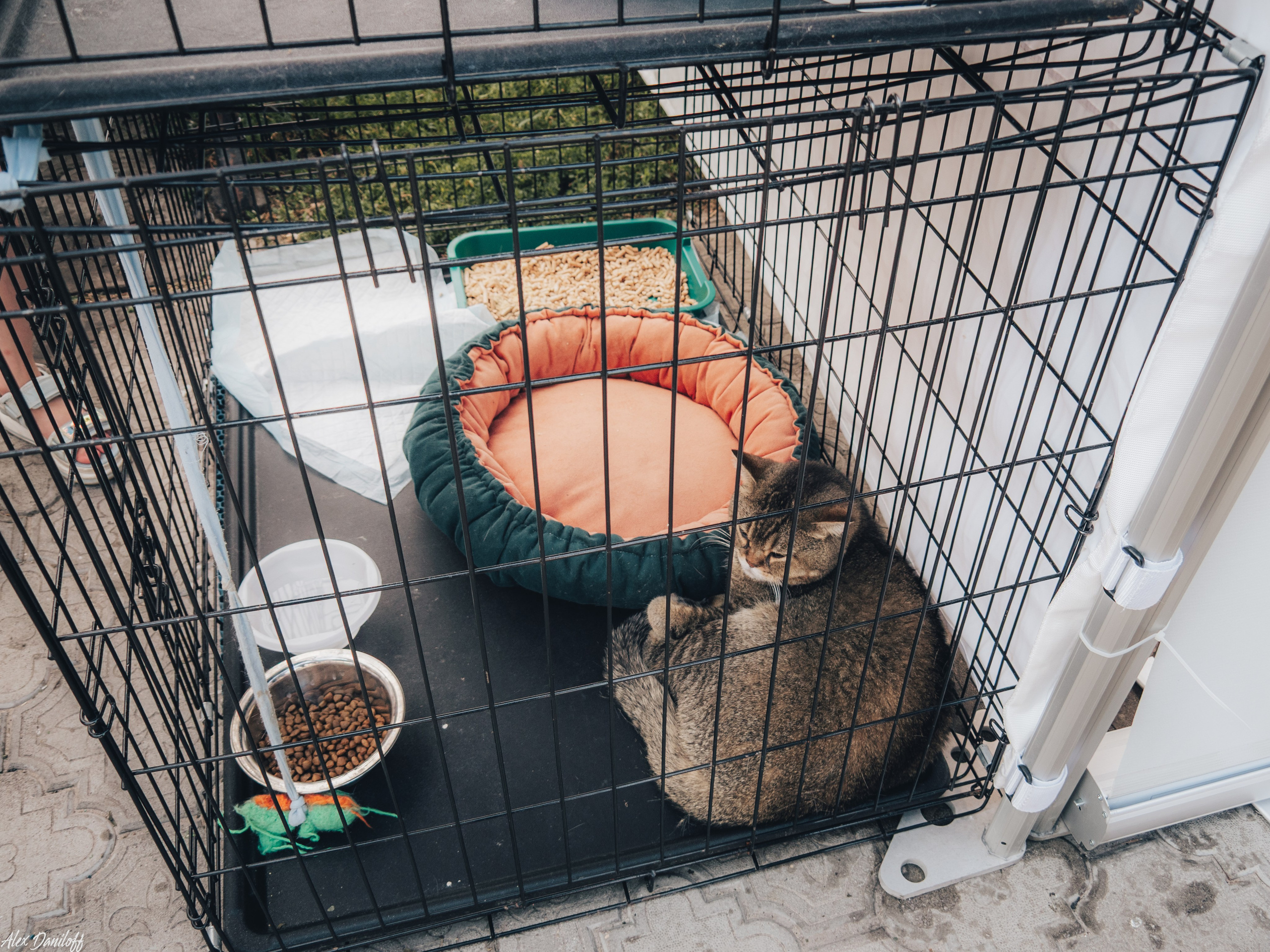 Мурфест 2025. Муром-Инфо. Новости культуры, образования, спорта в городе Муром