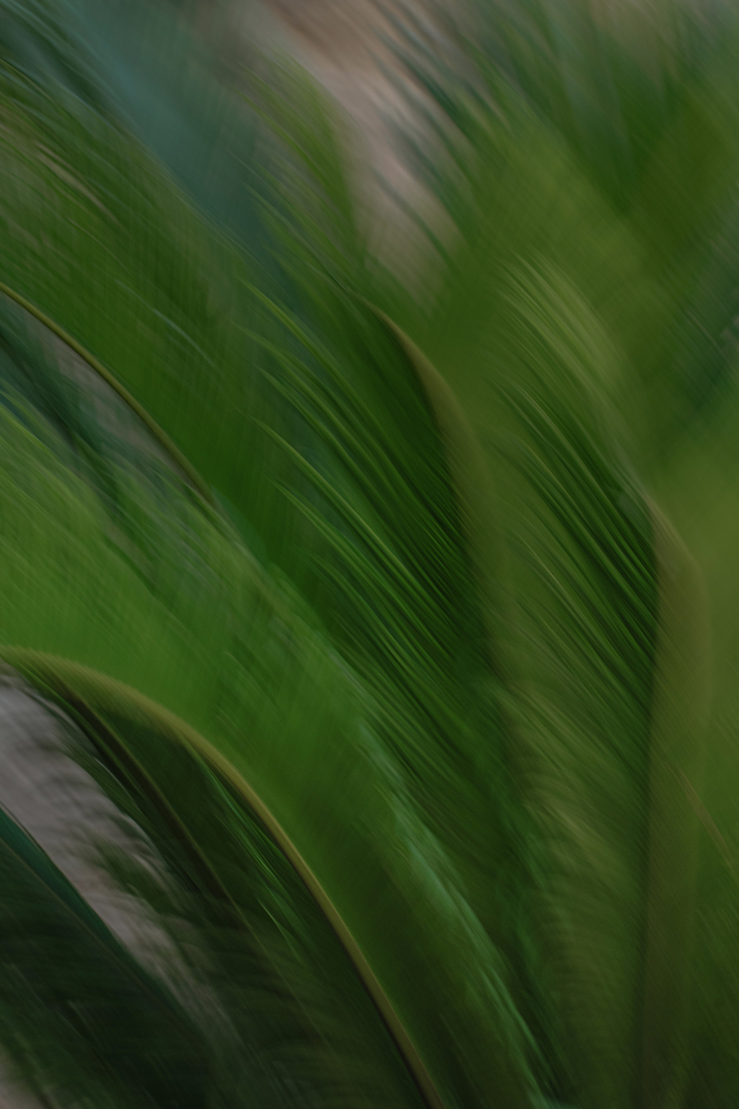 Casa Sur. Wedding & Documentary Photographer based in Nuremberg — available across Europe & Turkey | Vitalii Nasonov