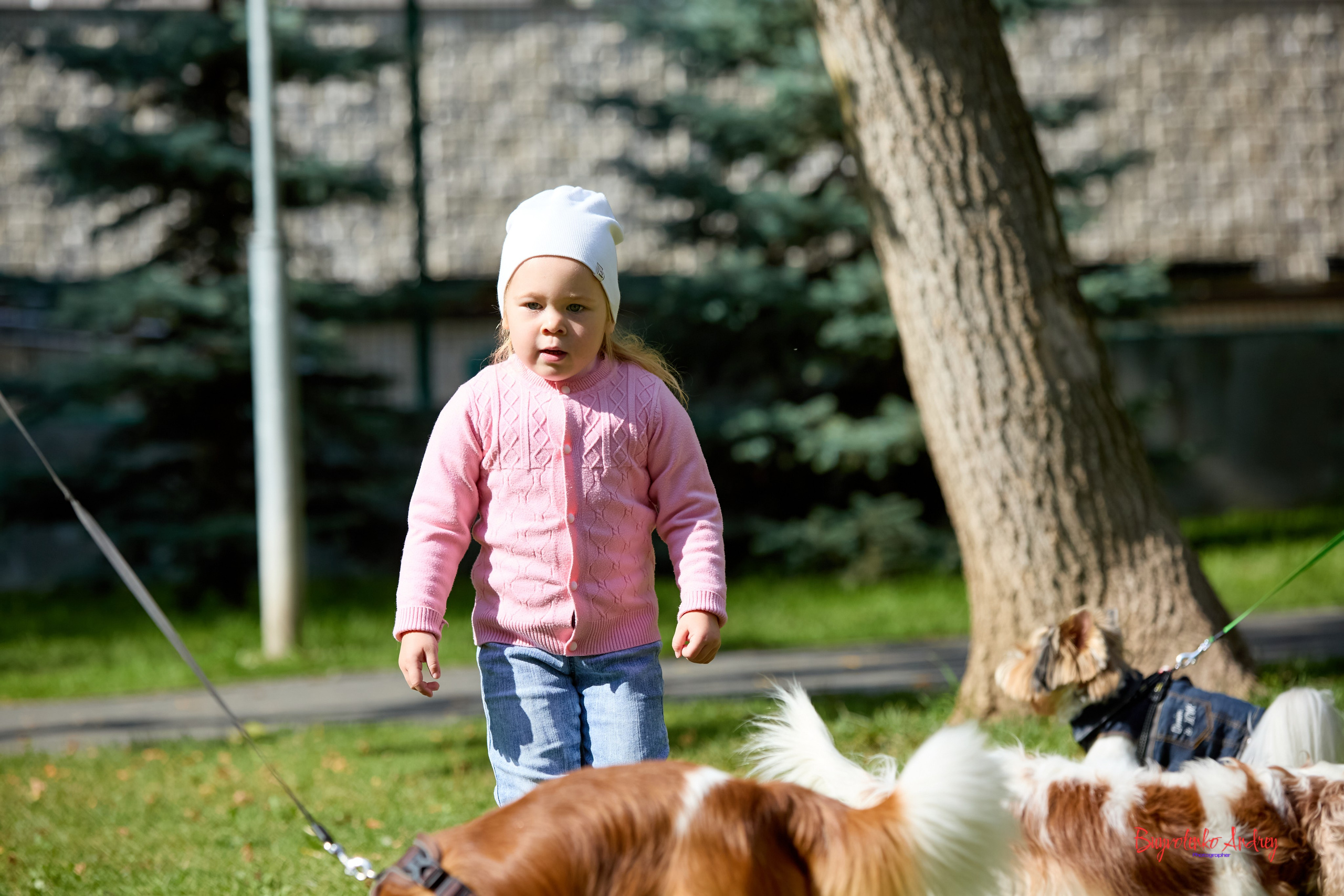 Фотопрогулка с кавалерами. Buyvolenko Andrey