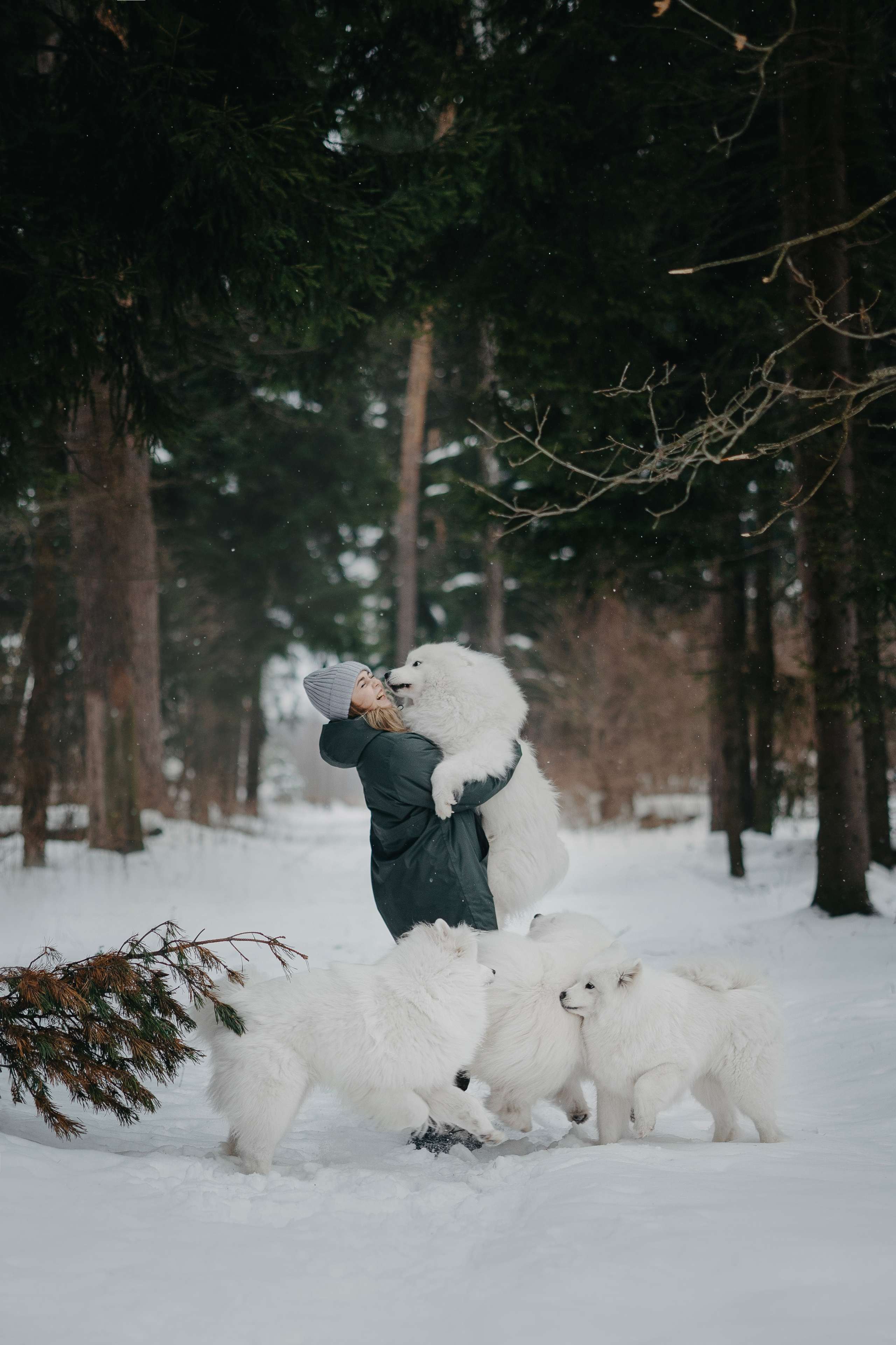 Для брендов. Фотограф анималист в Москве Майорова Евгения