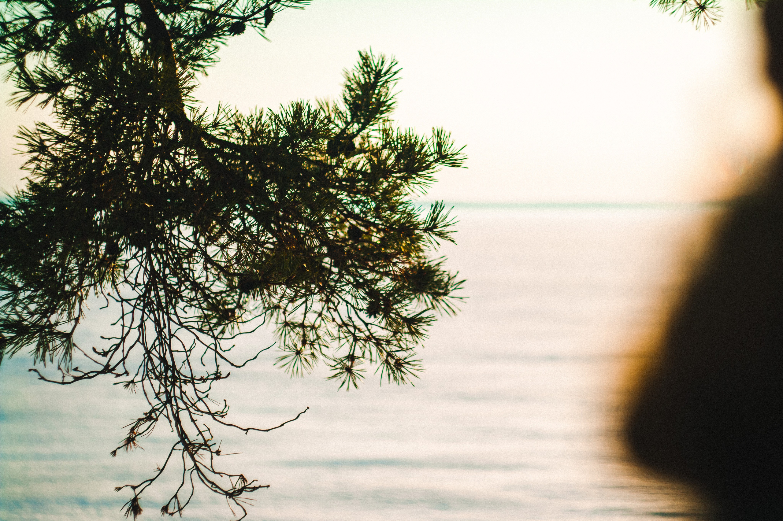 Narcissist. Den Mirov — Photographer, Musician