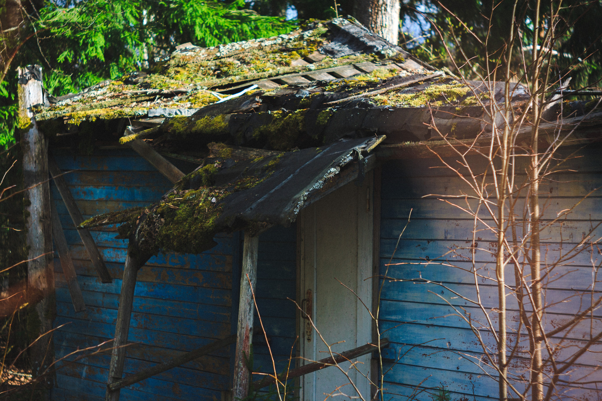 Деревня. Den Mirov — Photographer, Musician