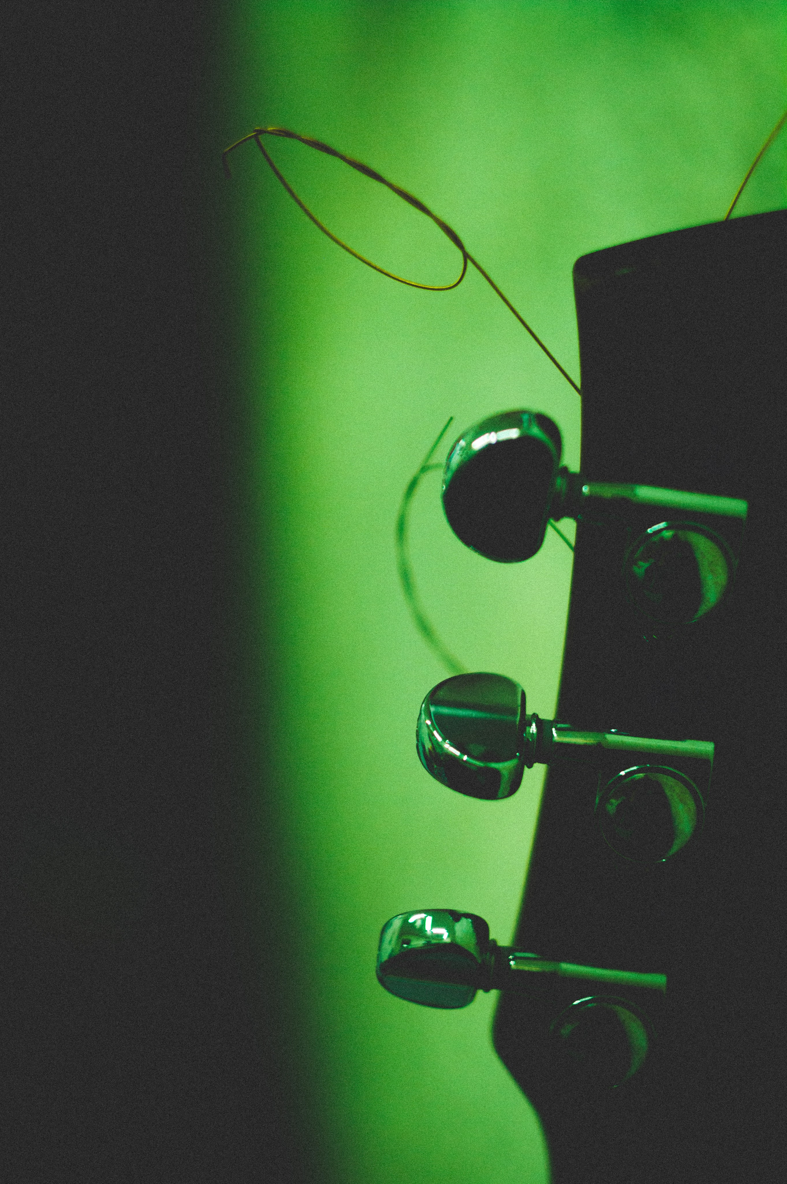 Photos. Den Mirov — Photographer, Musician