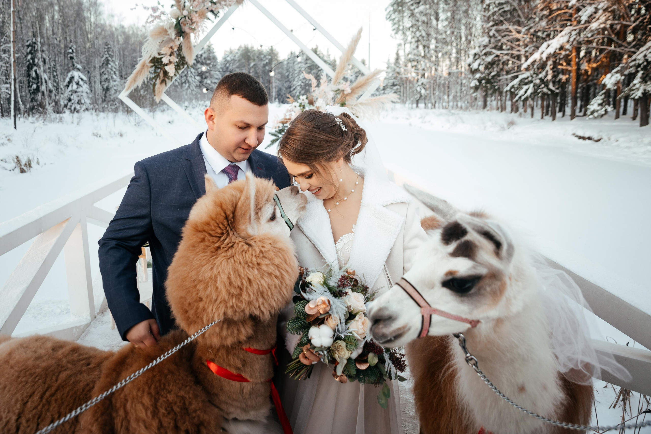10-12-21. Свадебный фотограф москва зеленоград Повольнов Василий