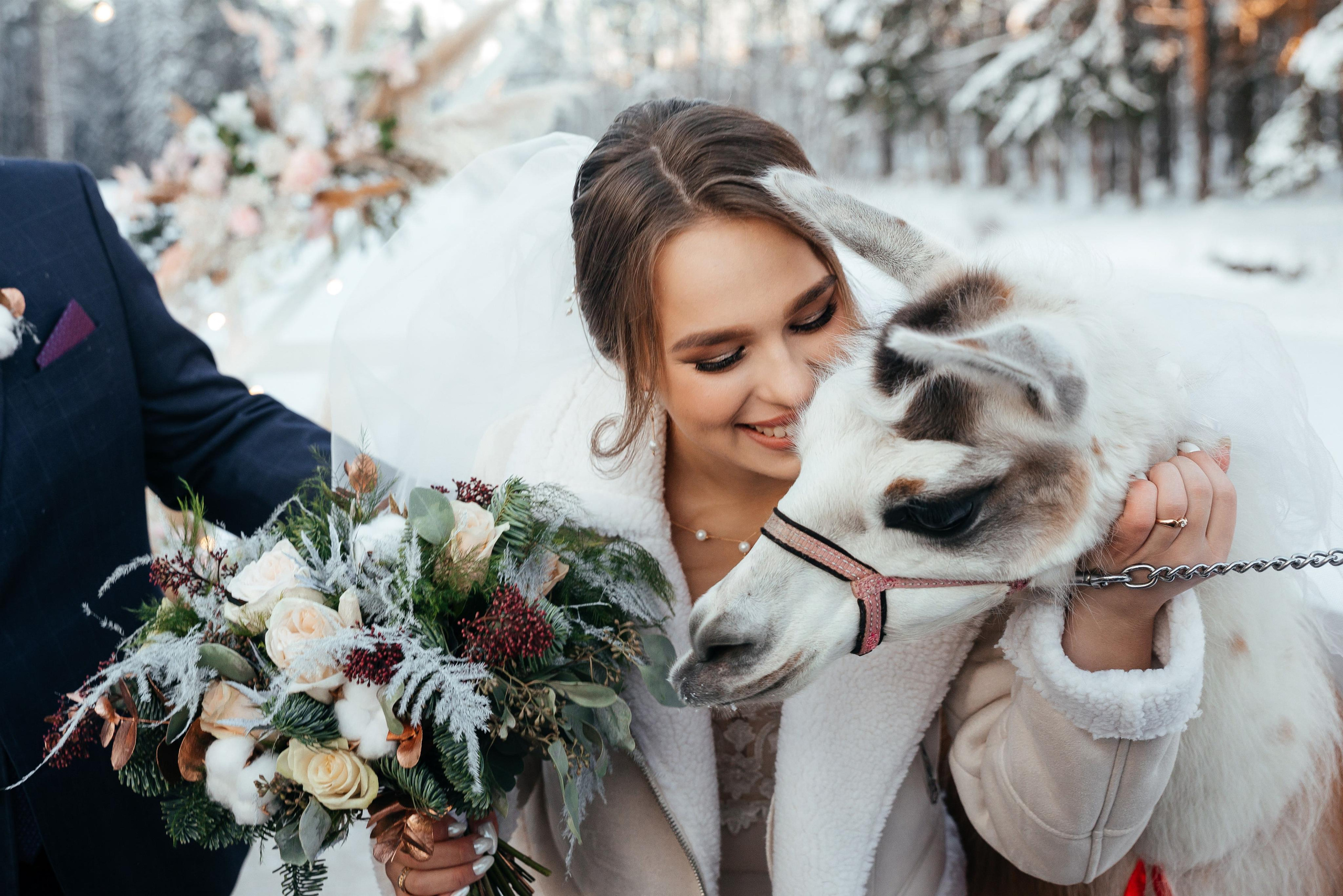 10-12-21. Свадебный фотограф москва зеленоград Повольнов Василий
