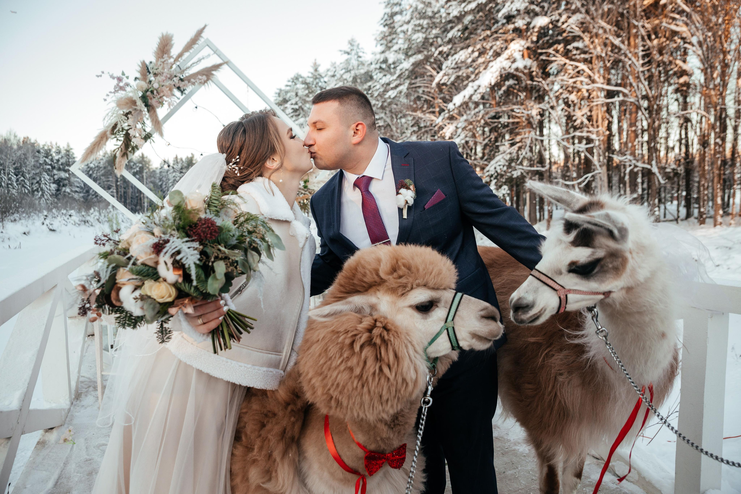 10-12-21. Свадебный фотограф москва зеленоград Повольнов Василий