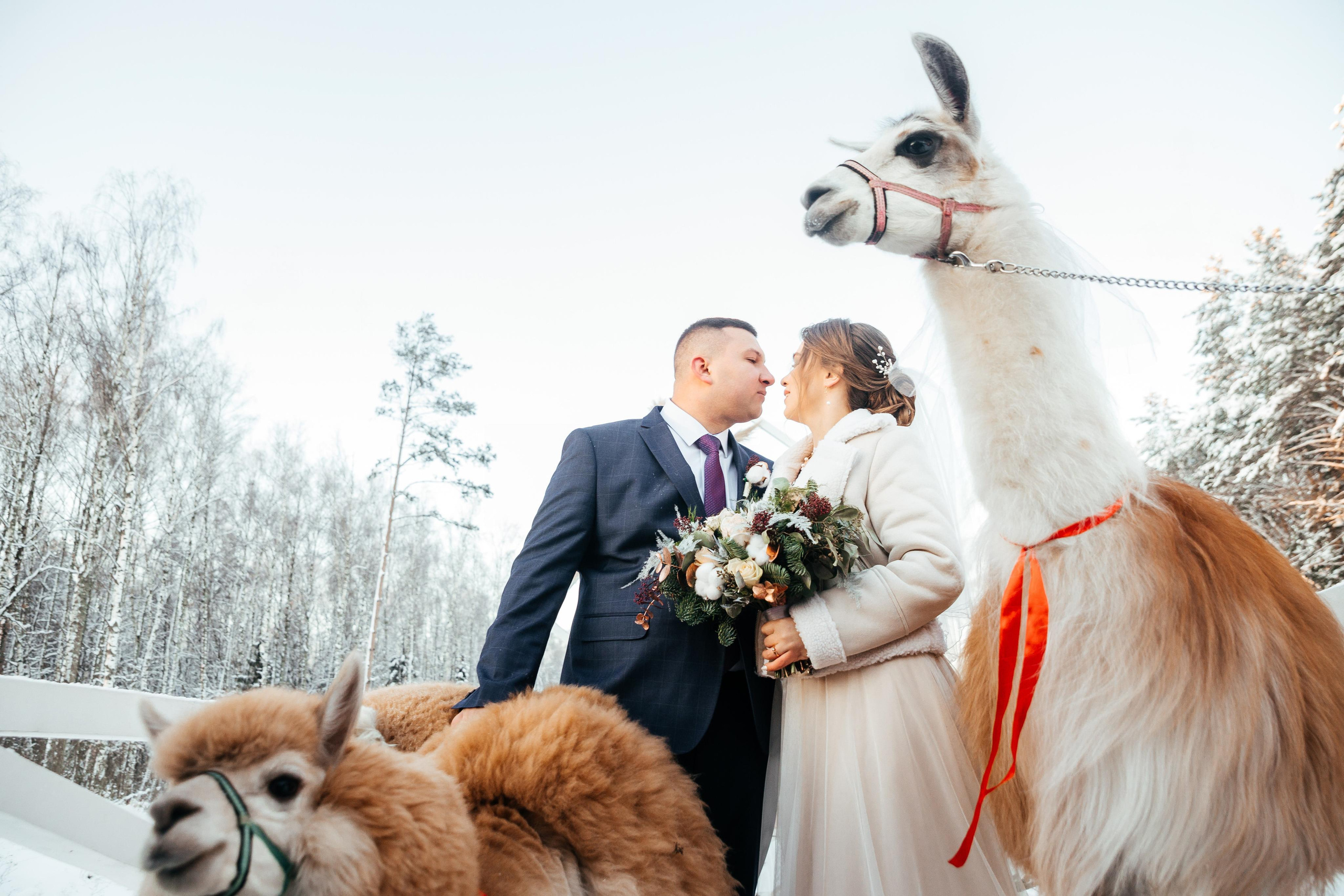 10-12-21. Свадебный фотограф москва зеленоград Повольнов Василий