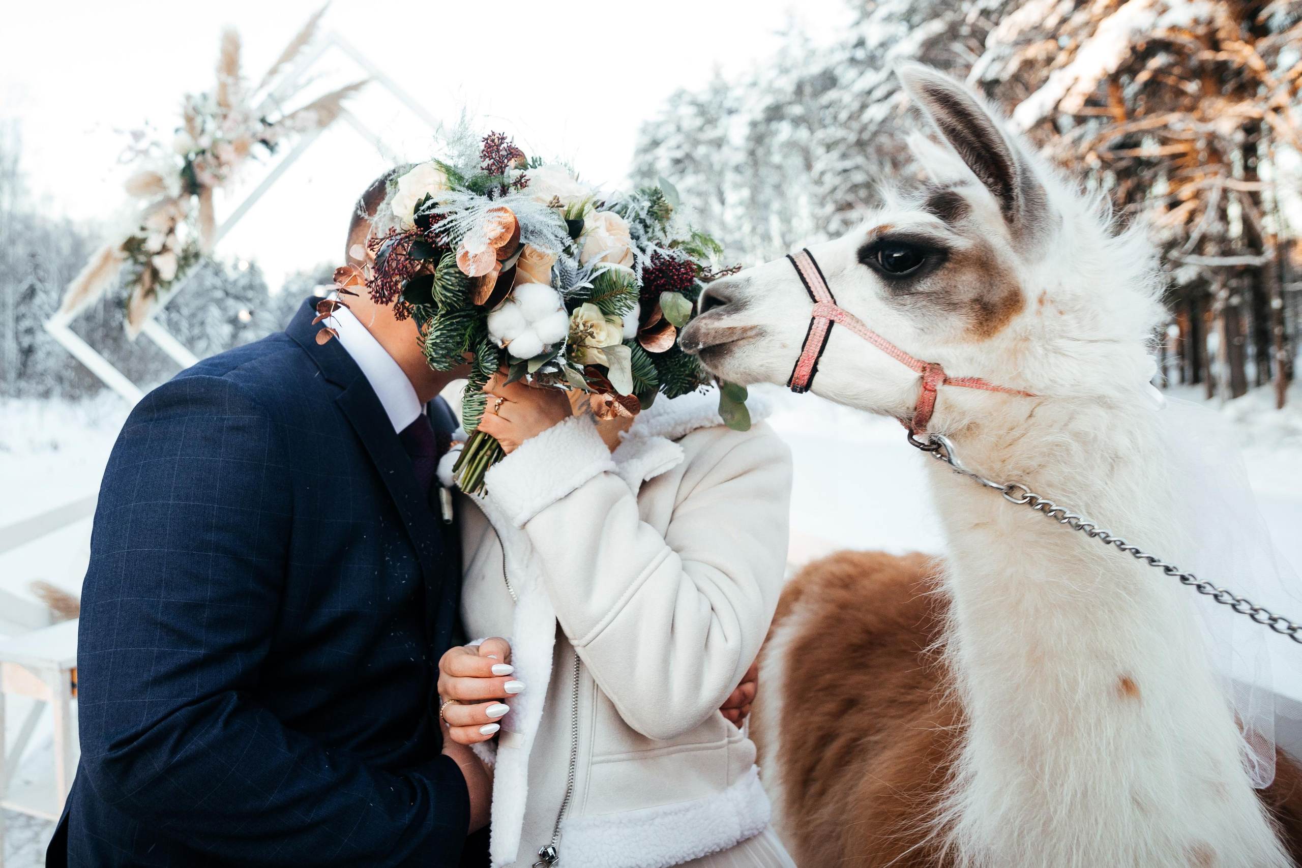 10-12-21. Свадебный фотограф москва зеленоград Повольнов Василий