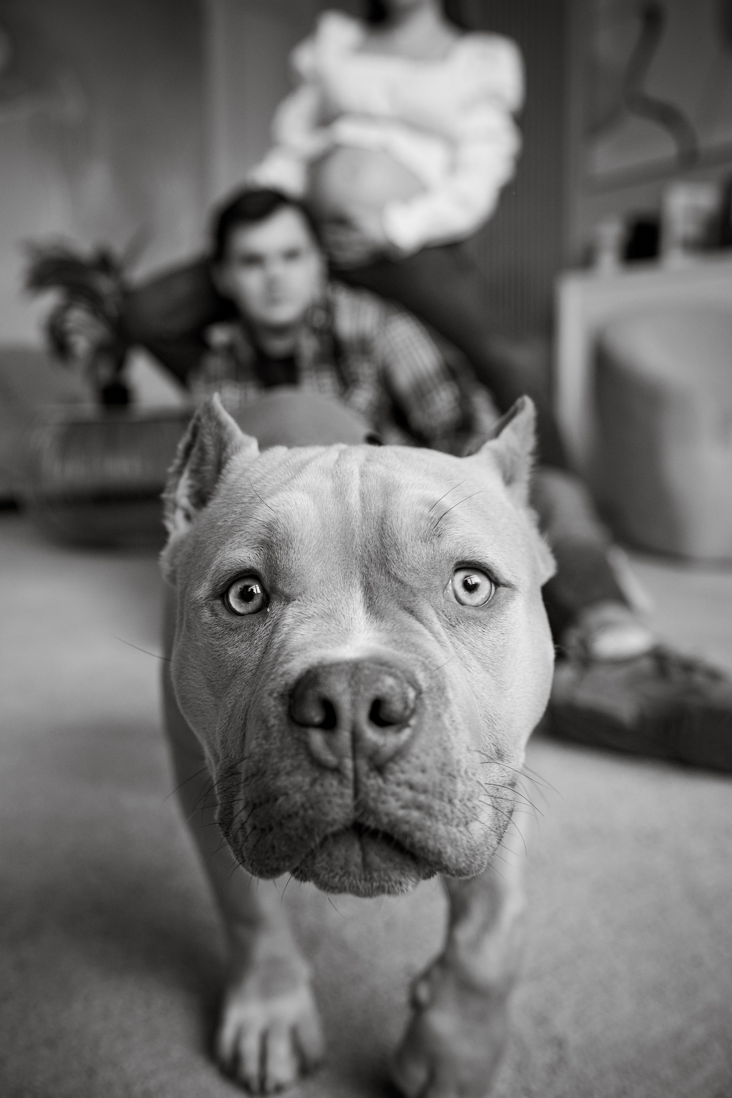 Злата|Александр|ЗЕВС. Фотограф Москва Шептаев Артём