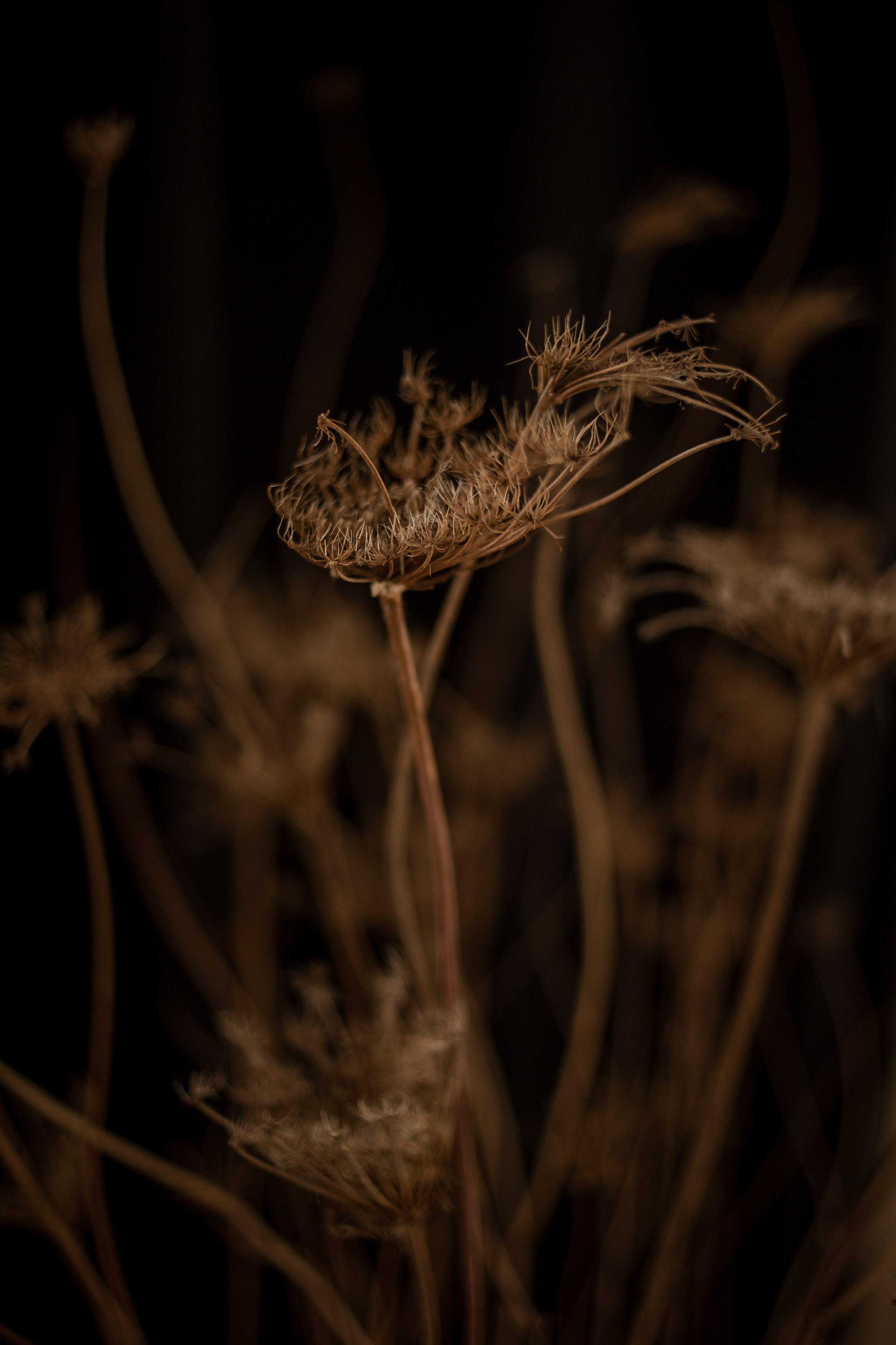 Настроение про Чувства. Фотограф в Краснодаре Евгения Михаевич