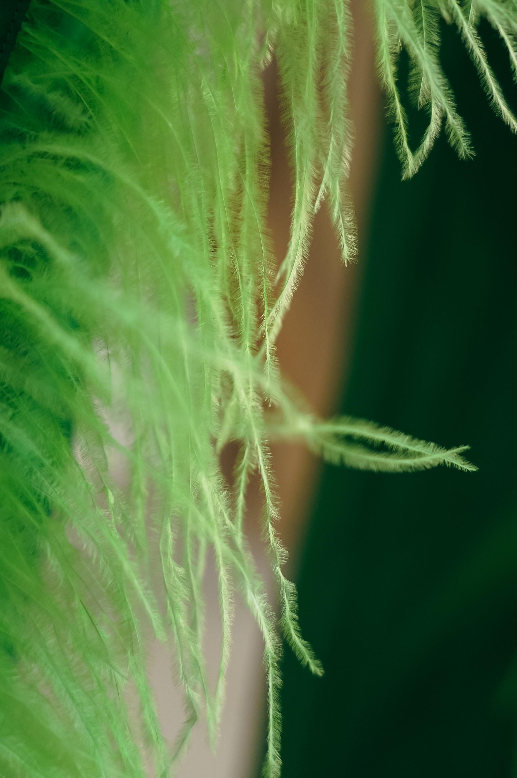 NdombiStella. Главная