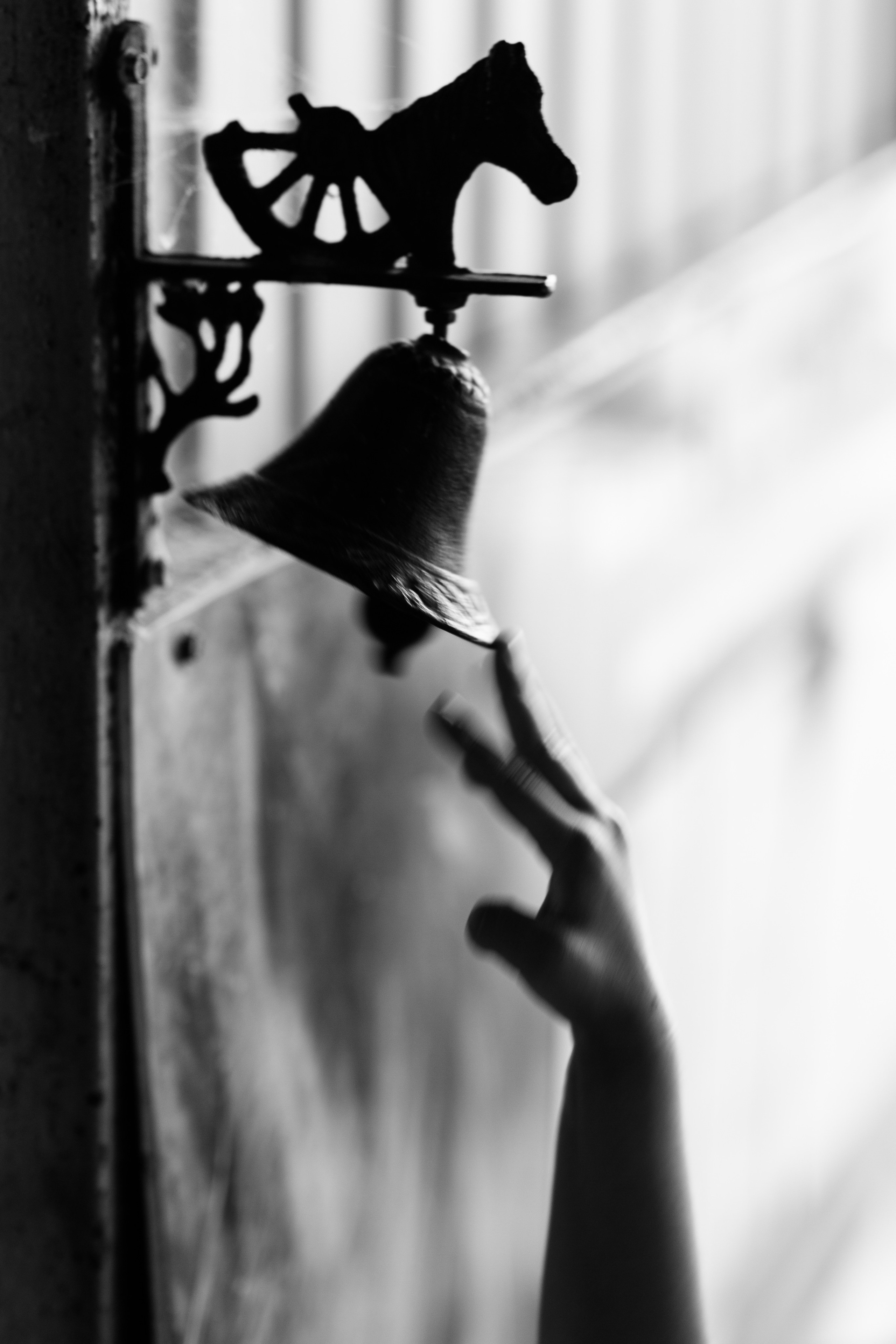 Family & Horses. Семейный фотограф в Краснодаре Нина Курнявко