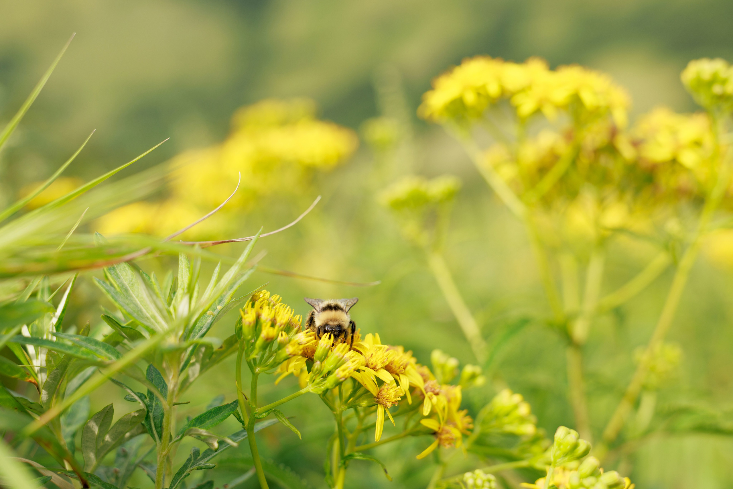 Travel. Индивидуальная и семейная съёмка. Москва, Наталья Самохвалова