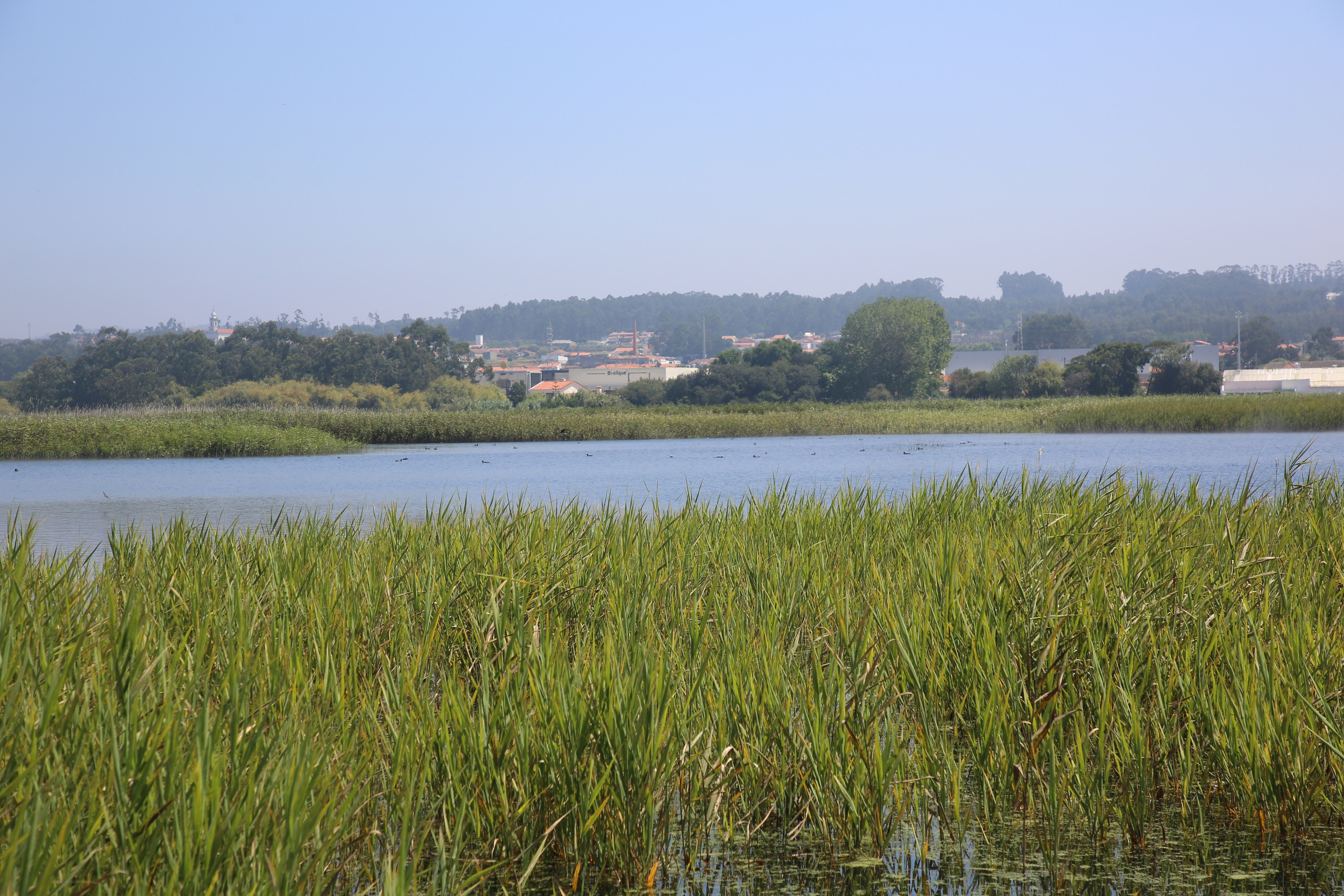 Esmoriz, Portugal. Andrey Filippov Photographer