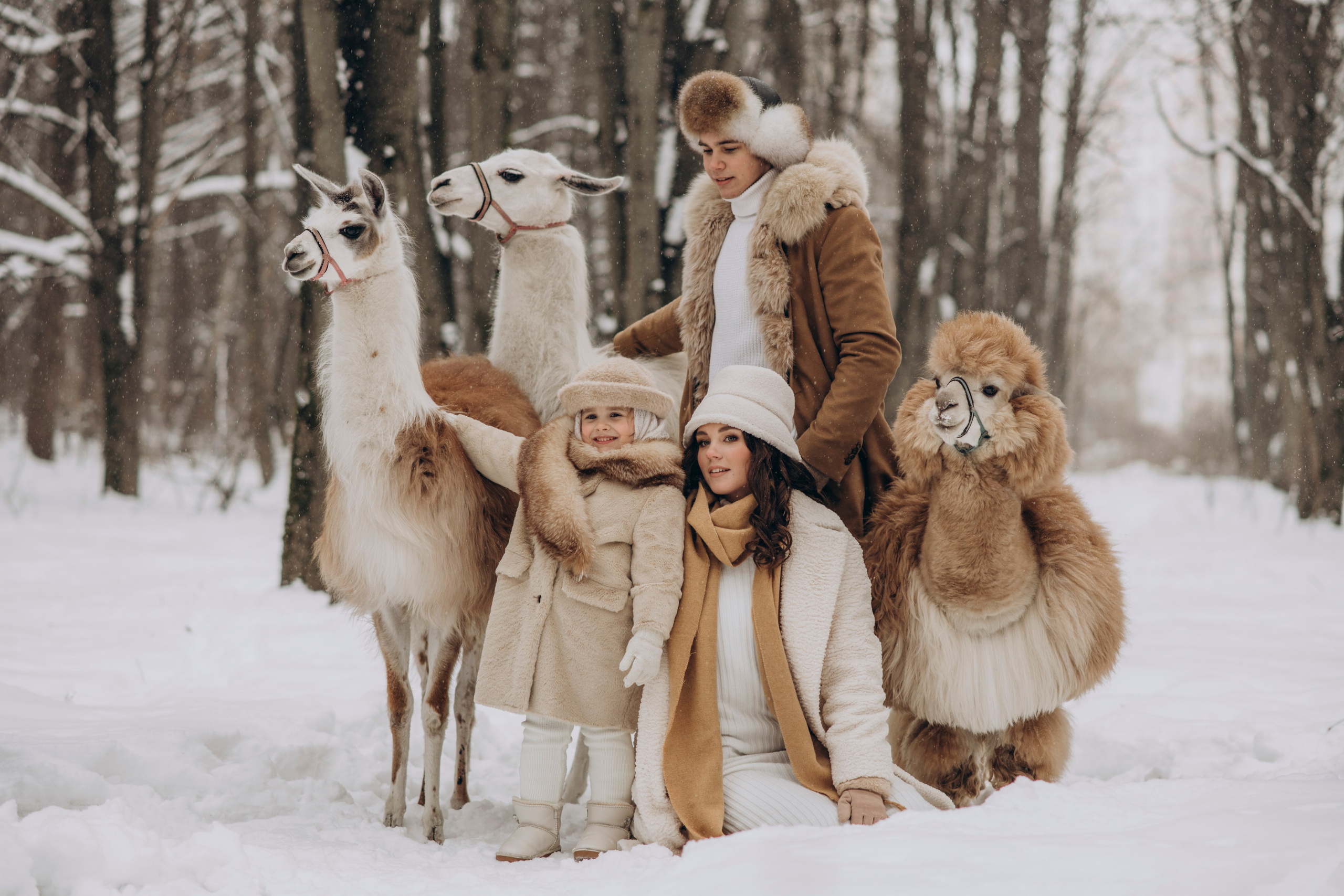 Зимняя фотосессия с Альпаками. Свадебный фотограф в Дмитрове
