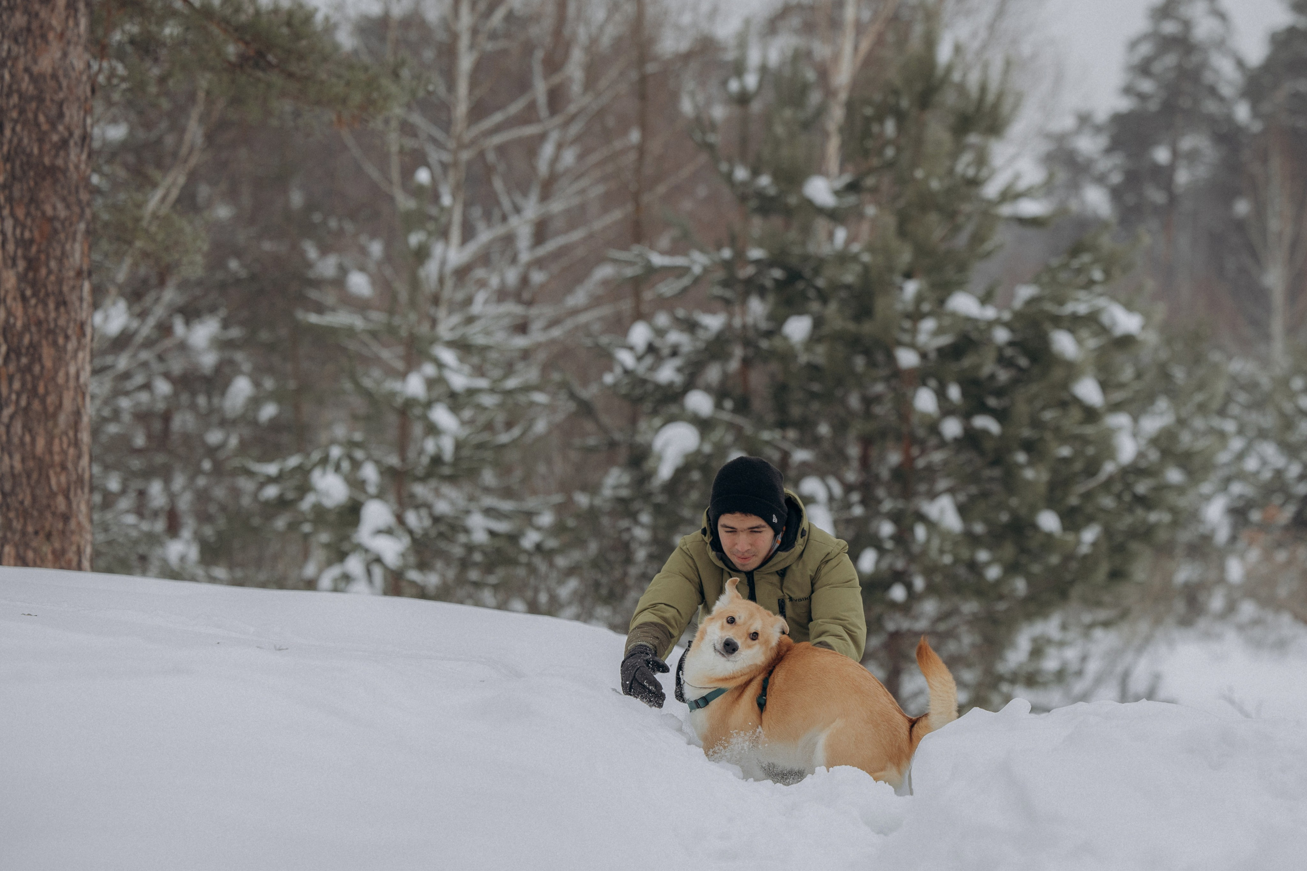 Прогулка на озере зимой. Фотограф анималист в Казани Алина Сулейманова. Фотограф животных