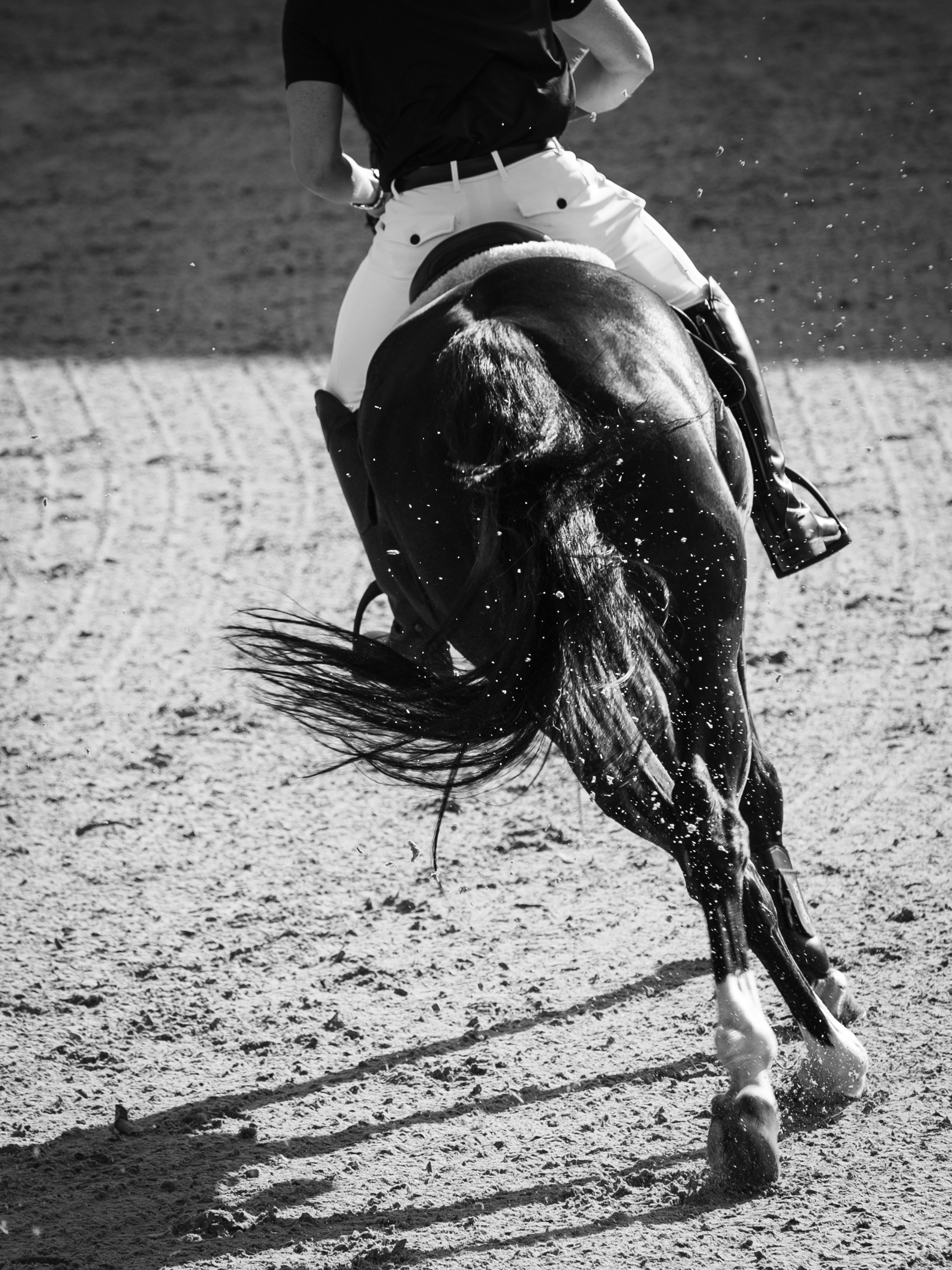 Конный спорт. Alexandrovna photography