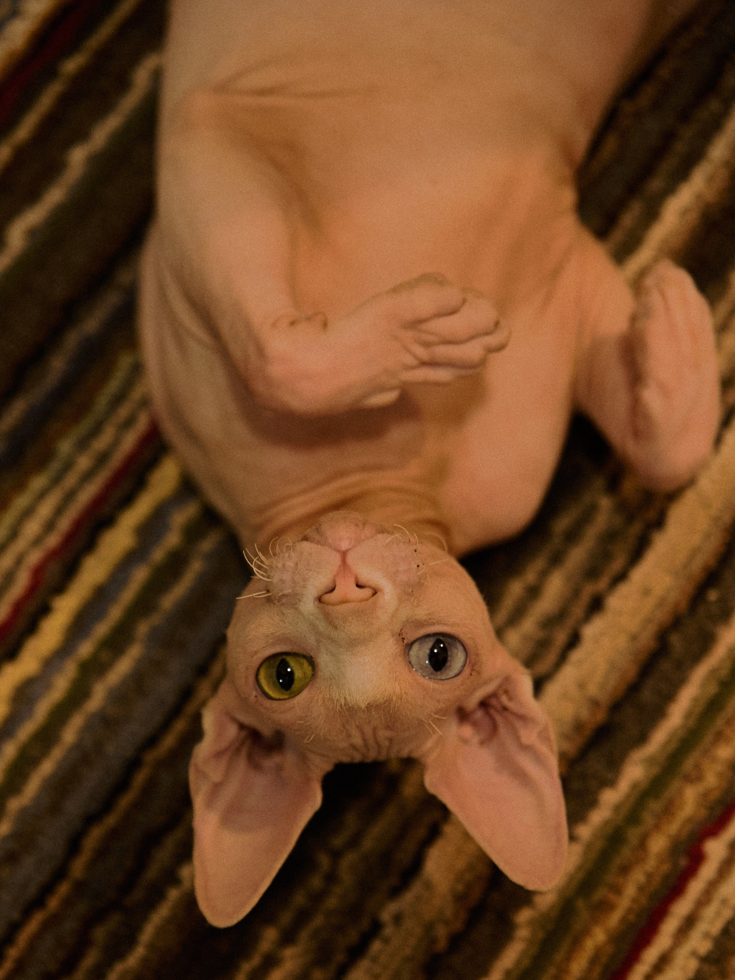 Другое 2. Jorgis Talè — photographer, kind person, teacher of arts and other mag