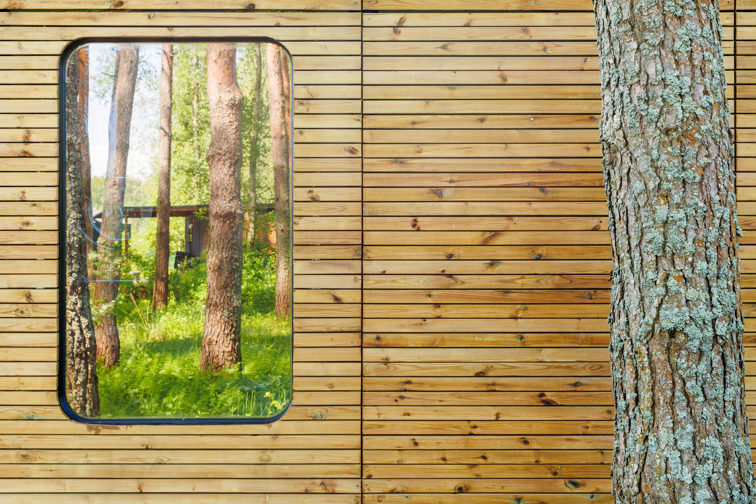 Гостевые дома, Овсяное