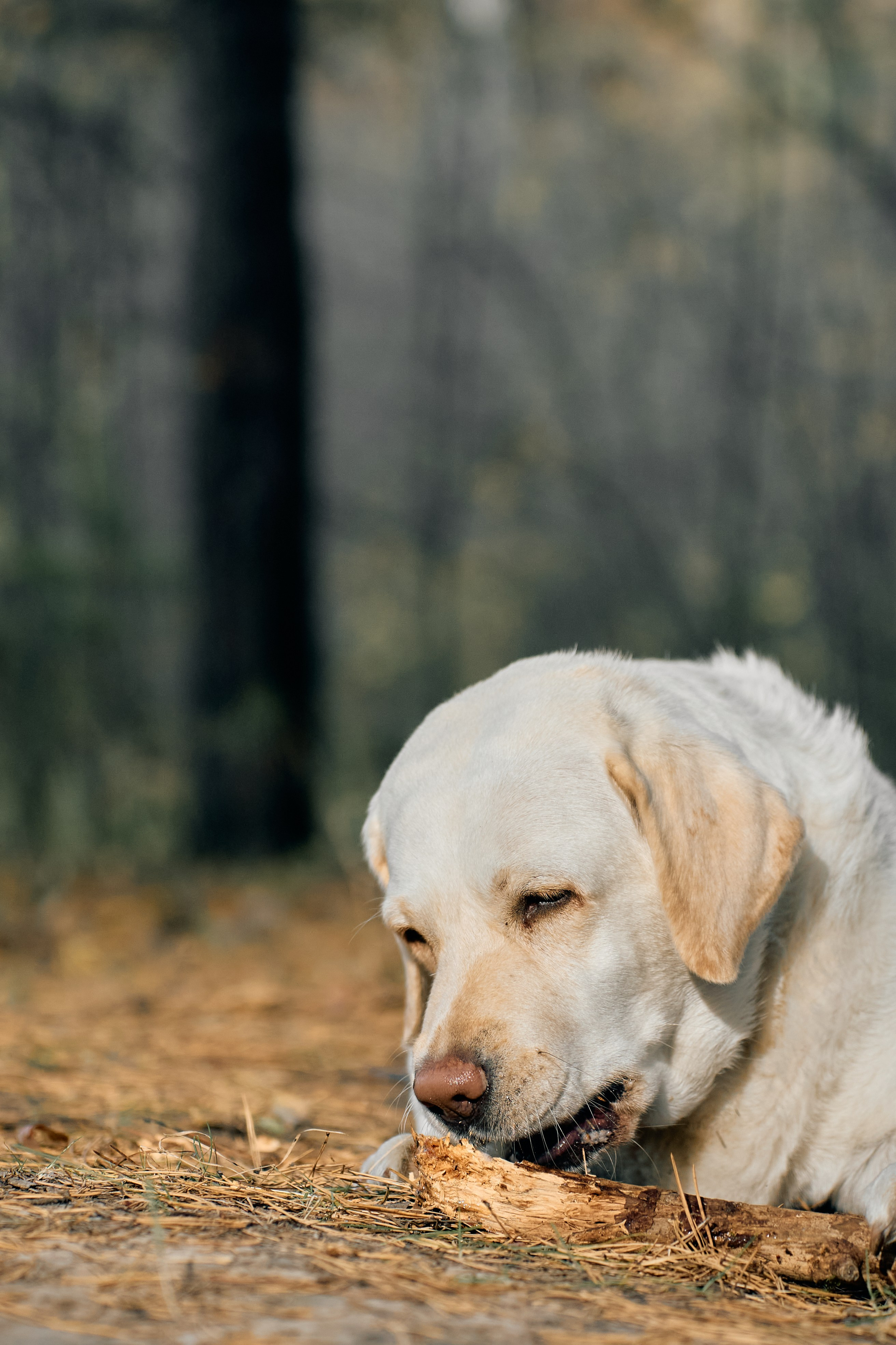 Фотосессия для пары в Тюмени Александр Шалагин