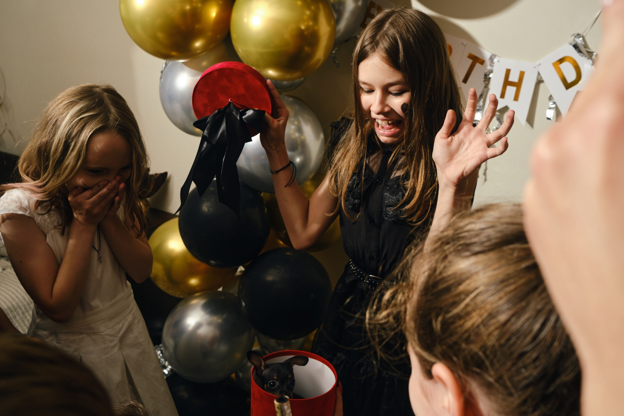 Портфолио - фотосъемка детских мероприятий. Профессиональный фотограф в Москве — Максим Дьяконов