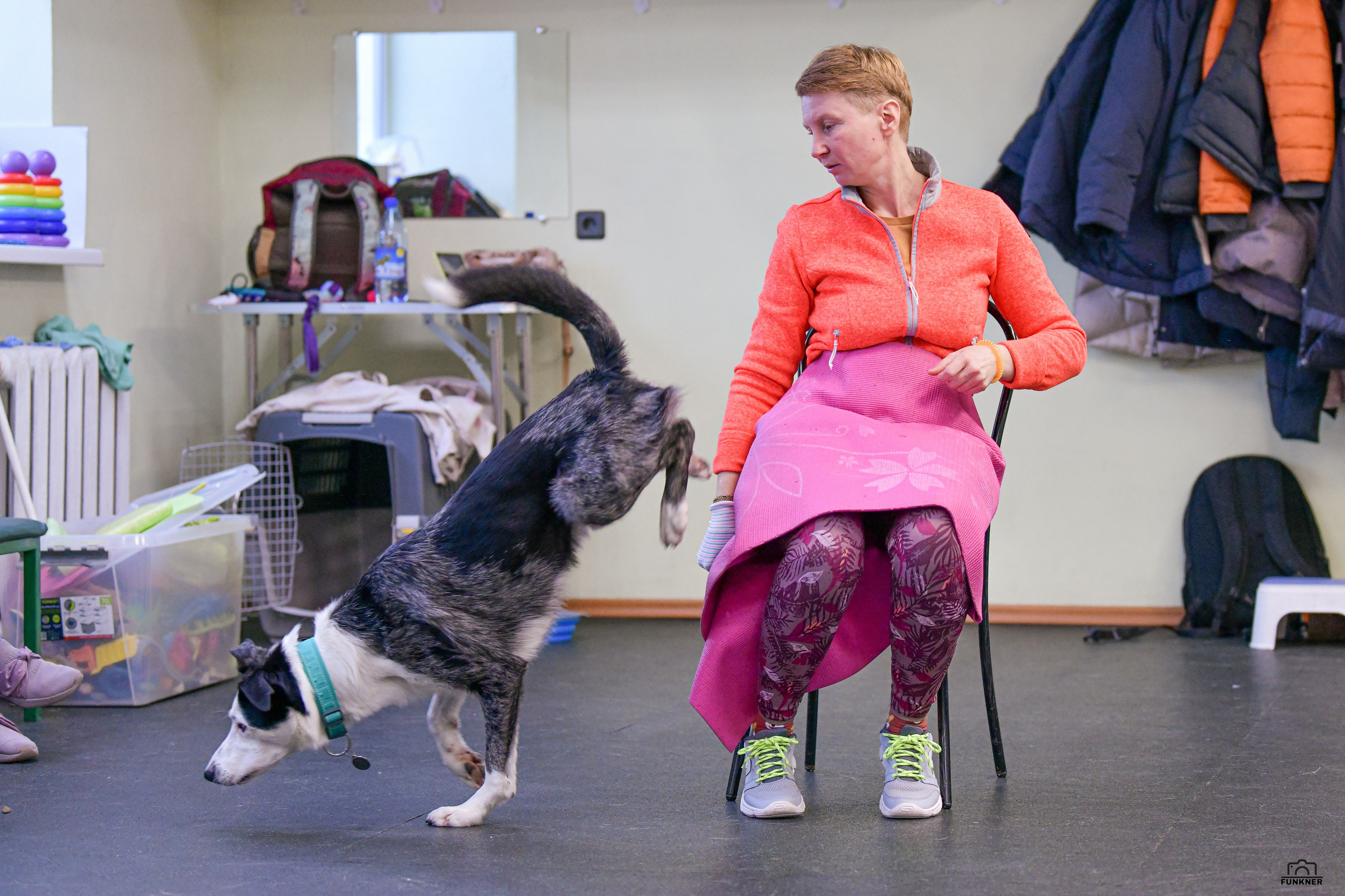 Кинологический клуб «Бодрый хвост». Свой взгляд через объектив