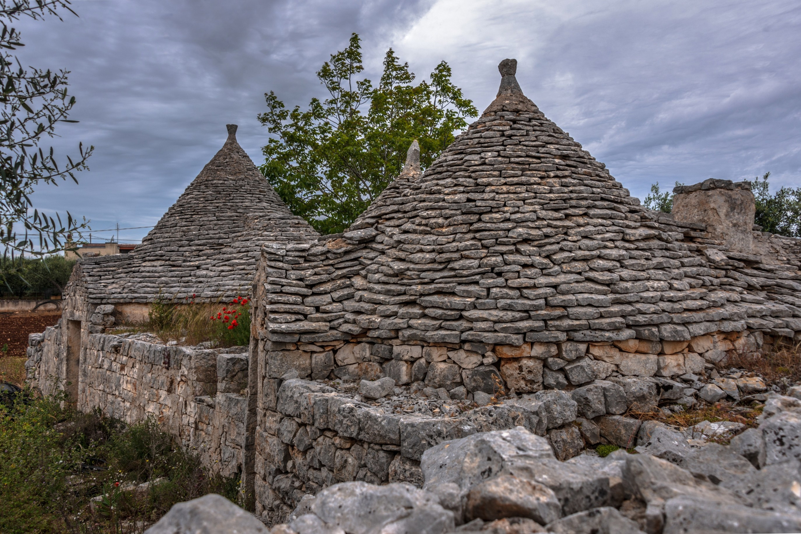 Италия Апулия Бари Альберобелло. Фотограф Лара Кучина