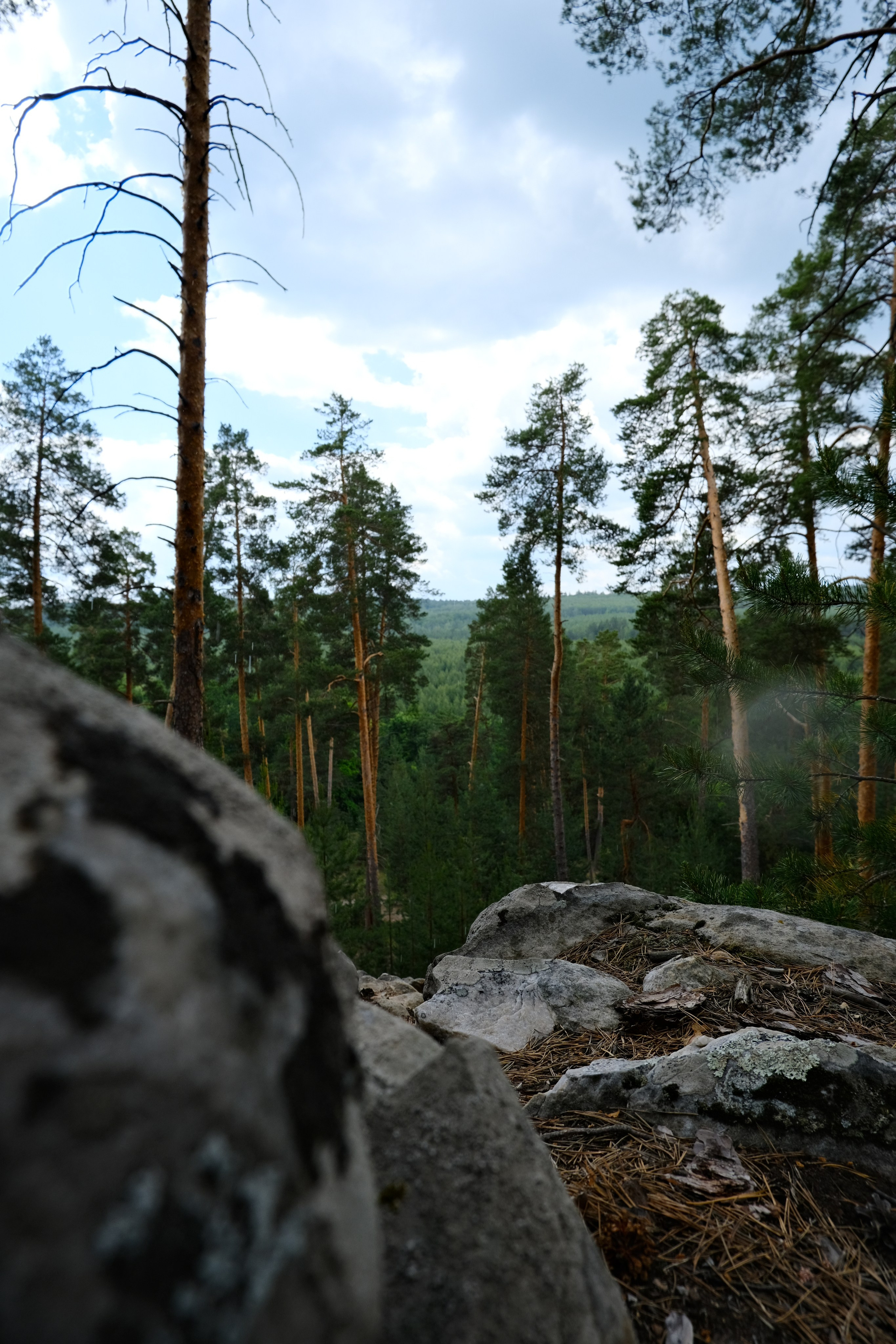Пейзаж. Кинокадры для тебя. фотограф и стилист по прическам Анастасия Помелова