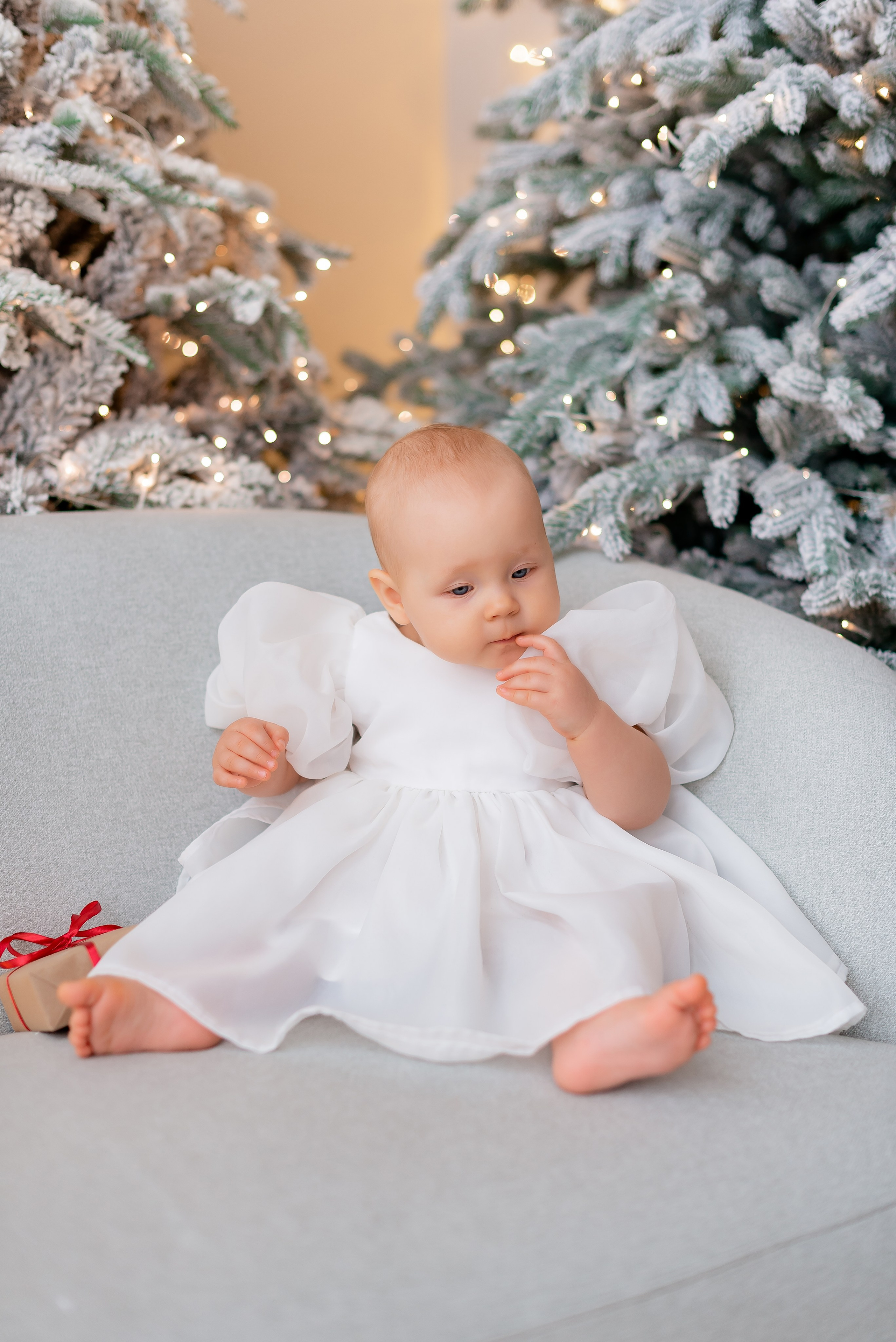 Новогодняя студия Скандибек. Фотограф Татьяна Иванчикова