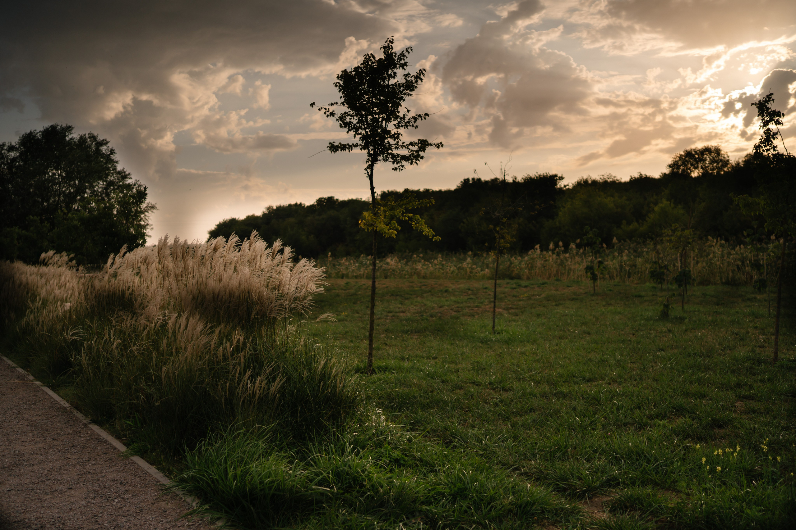 Локации для школьных съемок. Семейный фотограф и видеограф Ростов-на-Дону