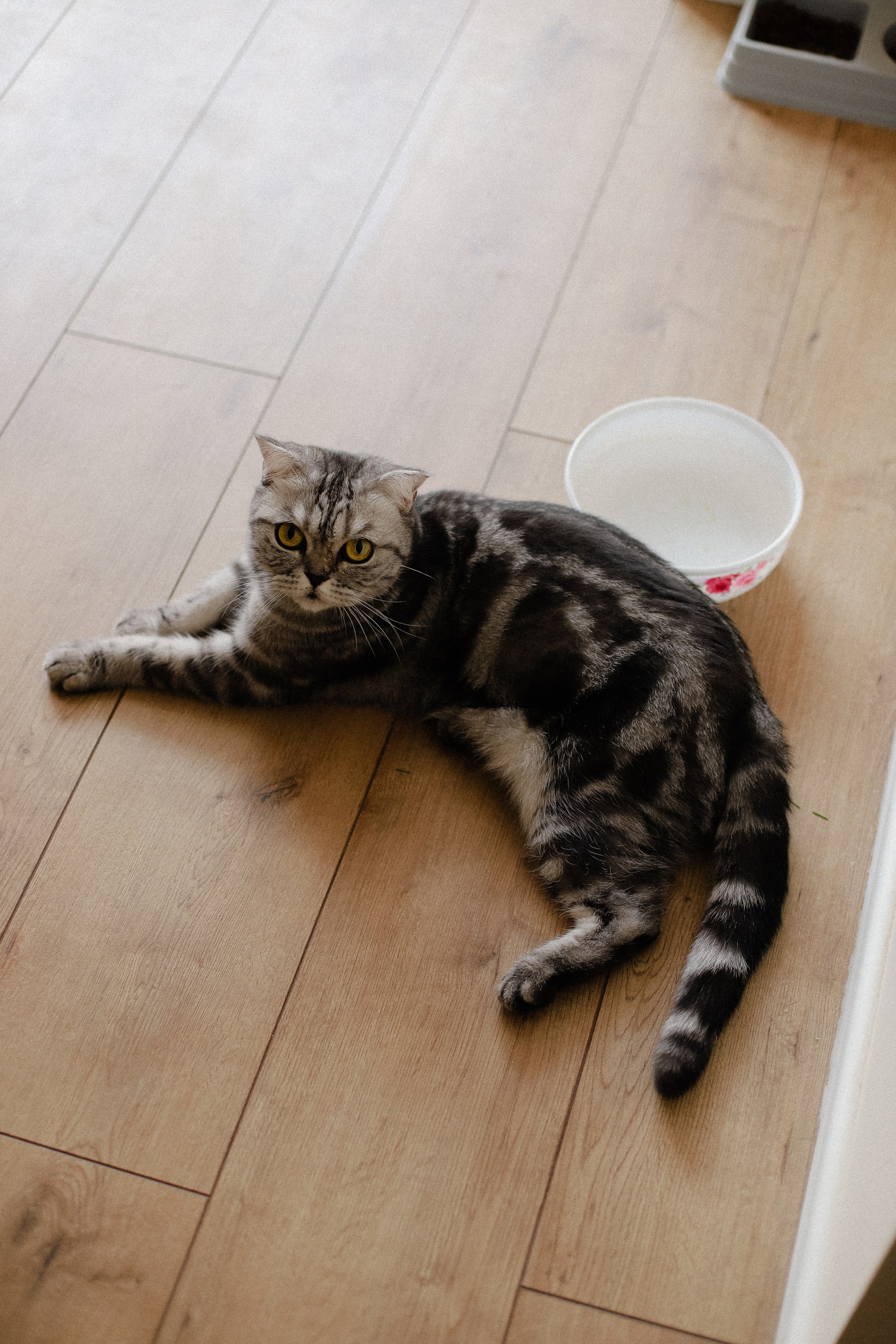 Завтрак и кофе. Фотограф в Алматы и Москве Даша Пушкина