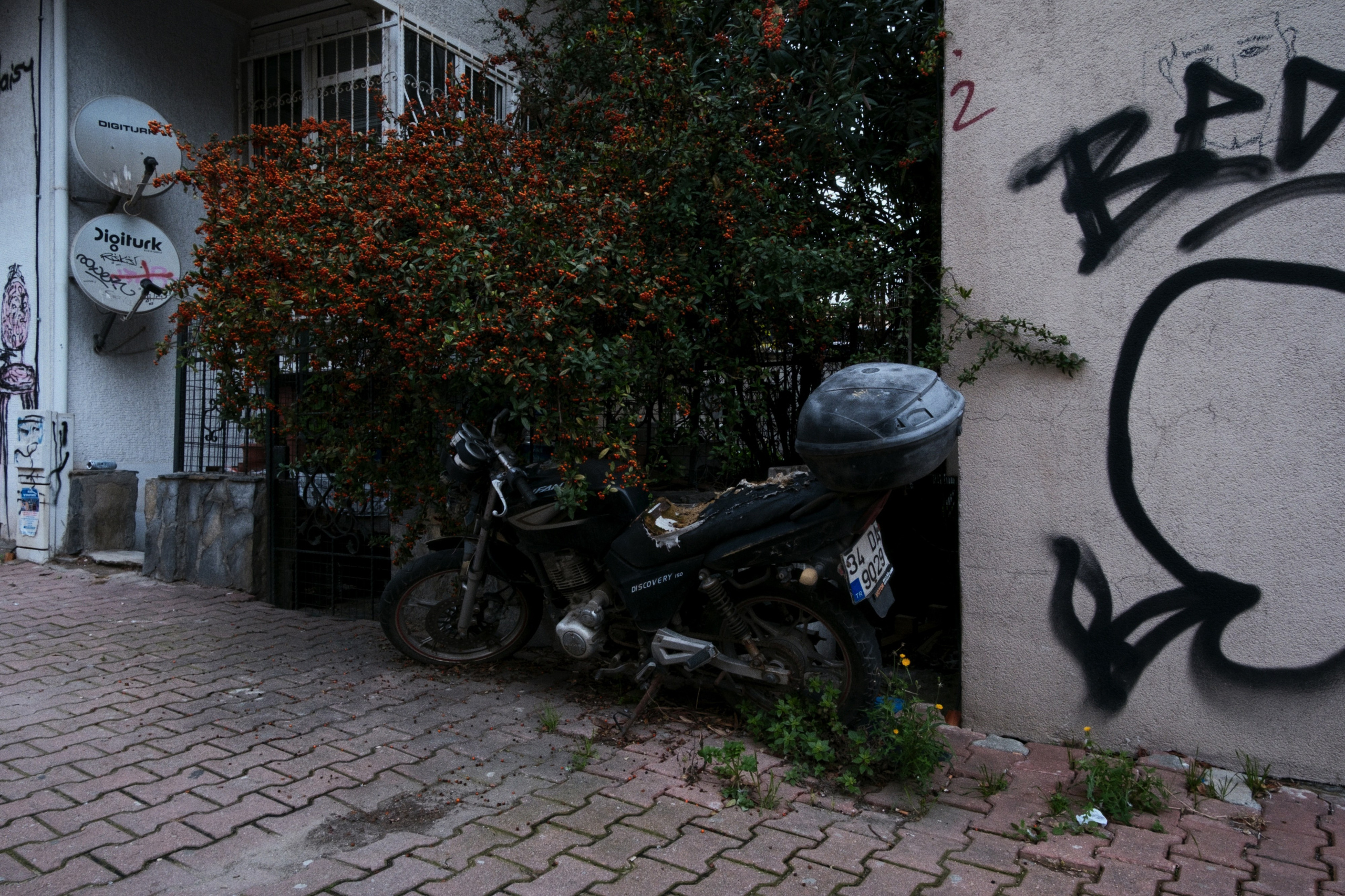 Kadikoy x Moda, Istanbul / Türkey AW25. Фотограф Юрин Евгений