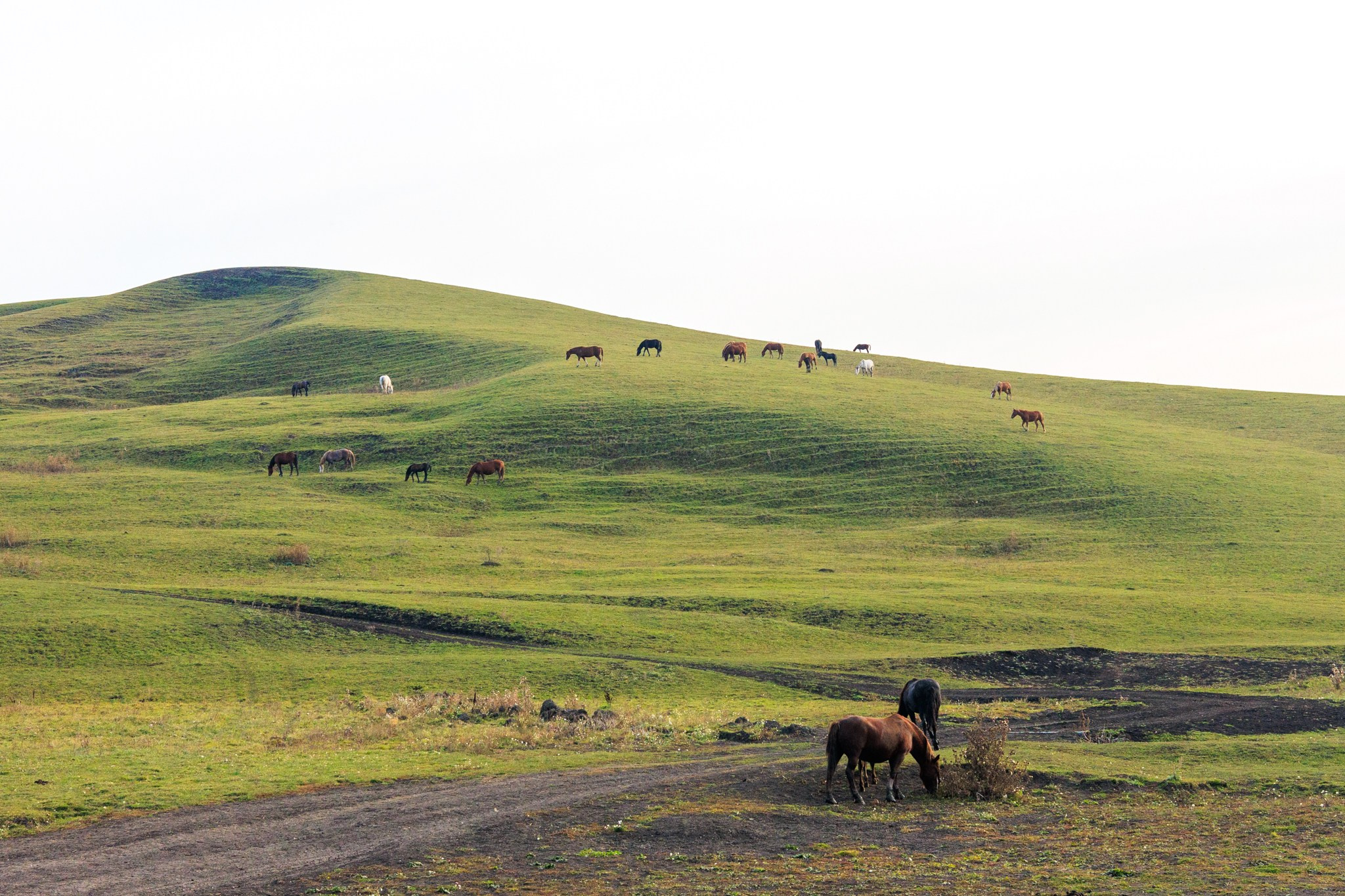 Краснооктябрьский район, 03.10.25