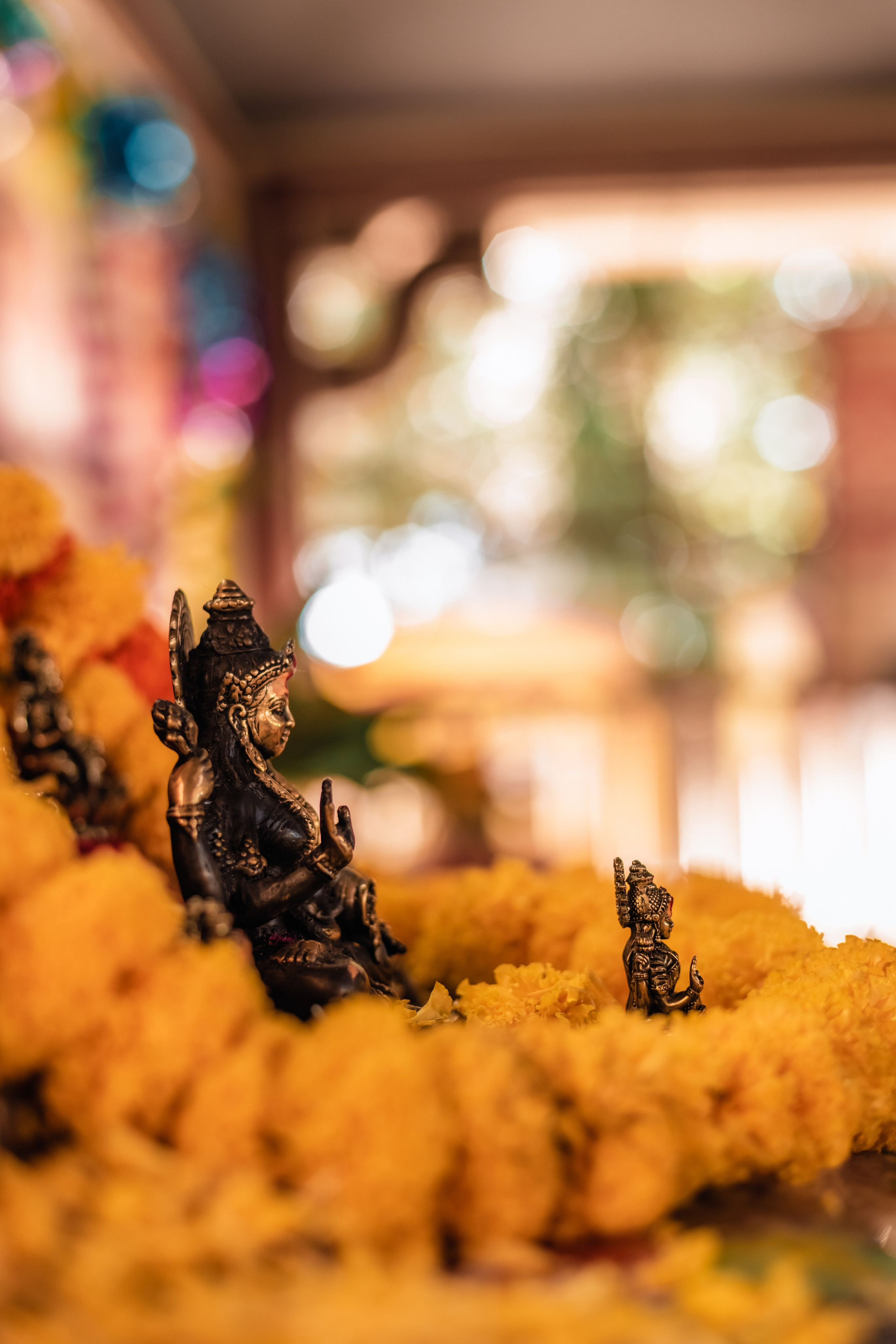 Devraha baba ji ashram life 2025. Mariam Bagdasaryan