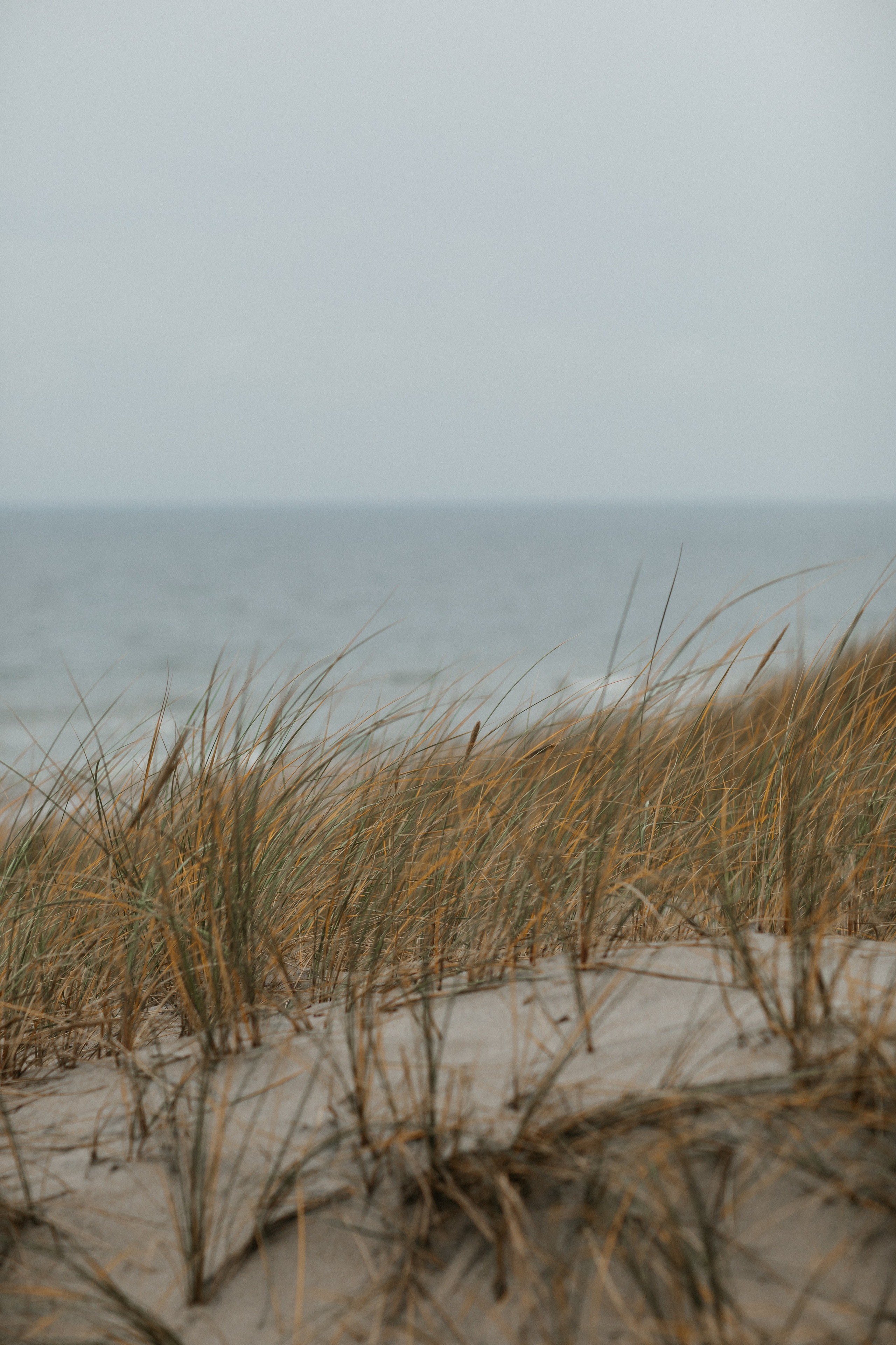 Фотосессия в Балтийске. Свадебный и семейный фотограф/видеограф в Краснодаре Наталья Осинская