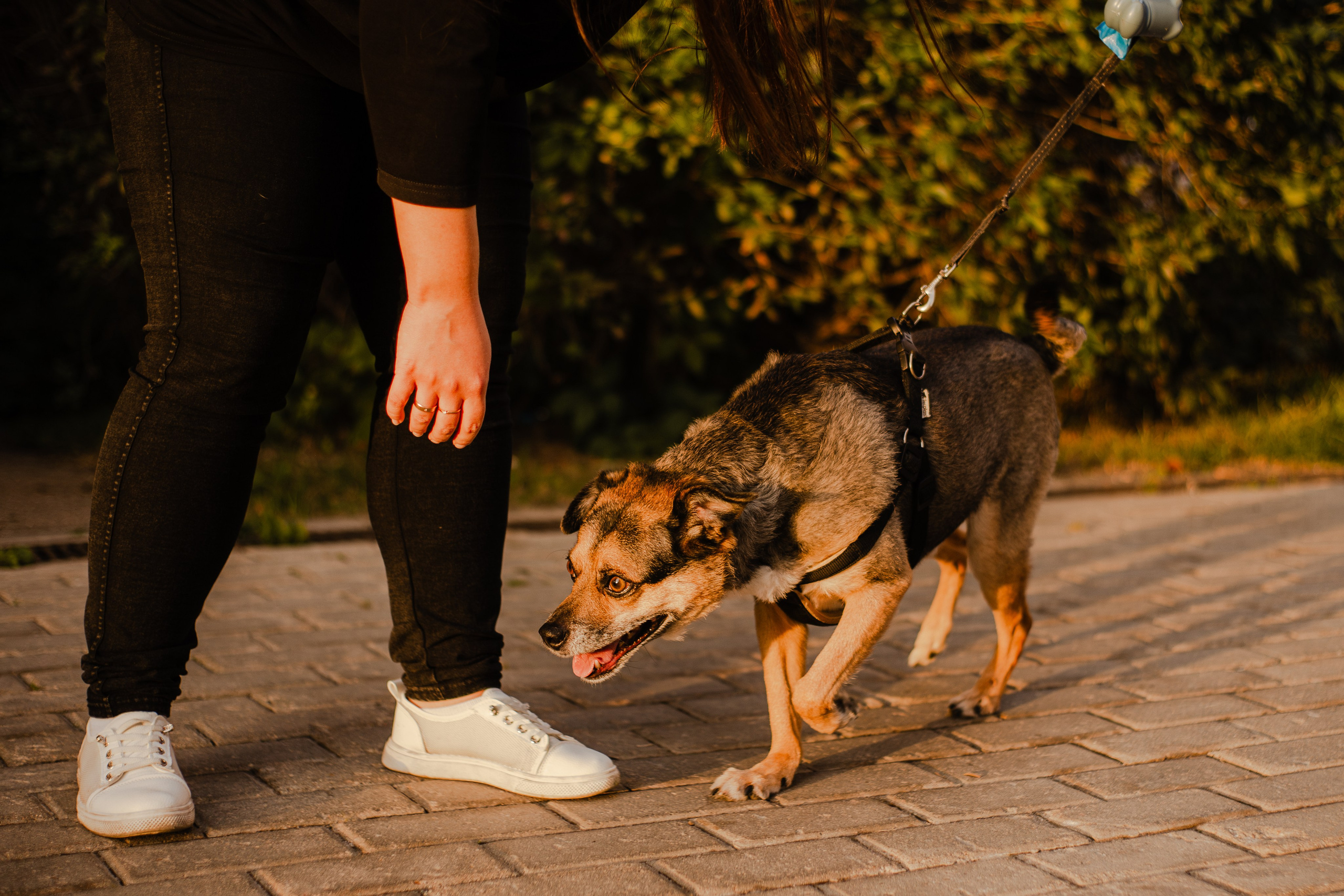 Виктория и Раф. Фотограф-анималист Мария Баркевич | Москва