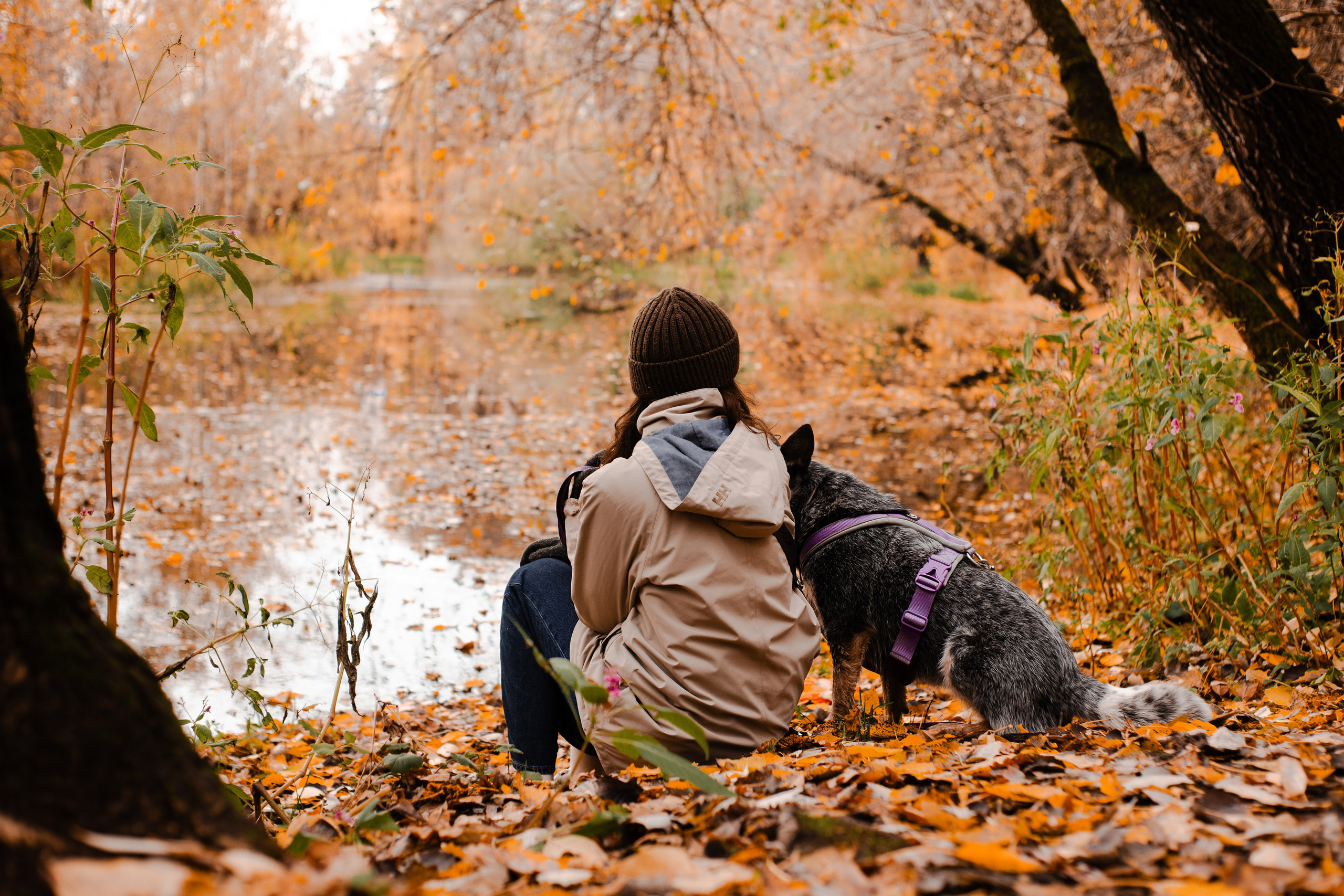 Юля, Антон и Лу. Фотограф-анималист Мария Баркевич | Москва
