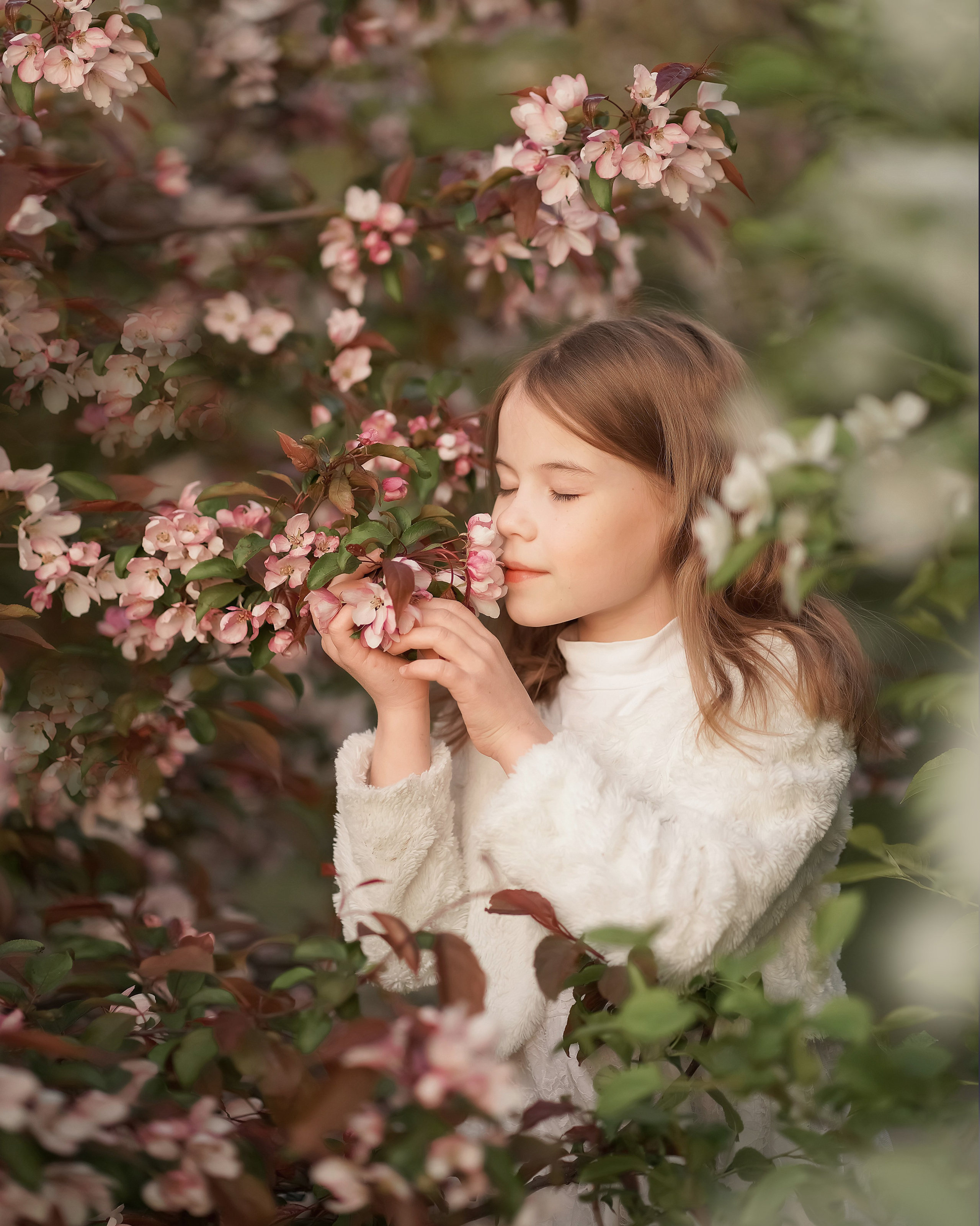 Цветение. Фотограф Татьяна Митрофанова