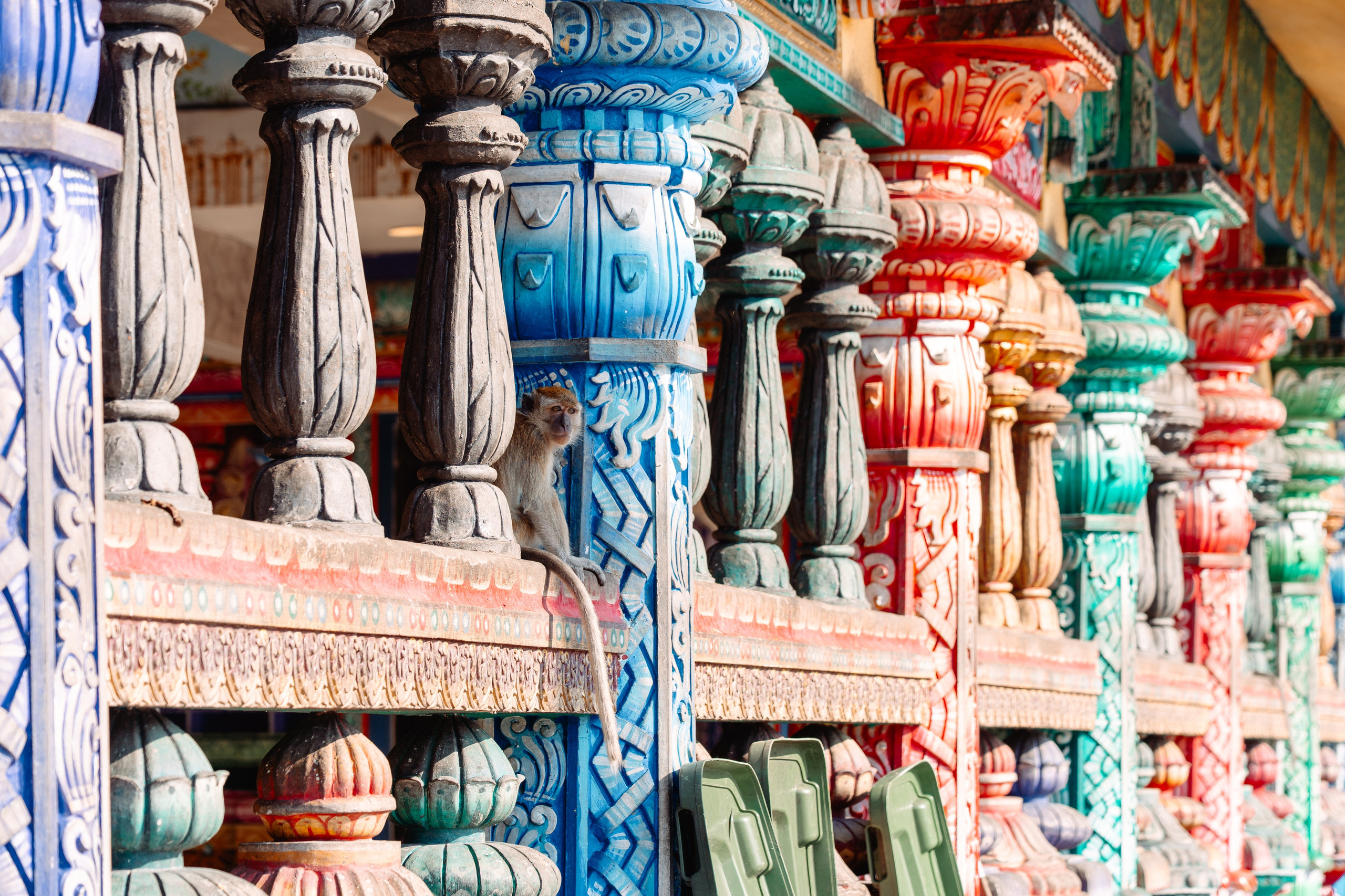 Сингапур и Малайзия. Репортажный фотограф в Москве Легкая Софья