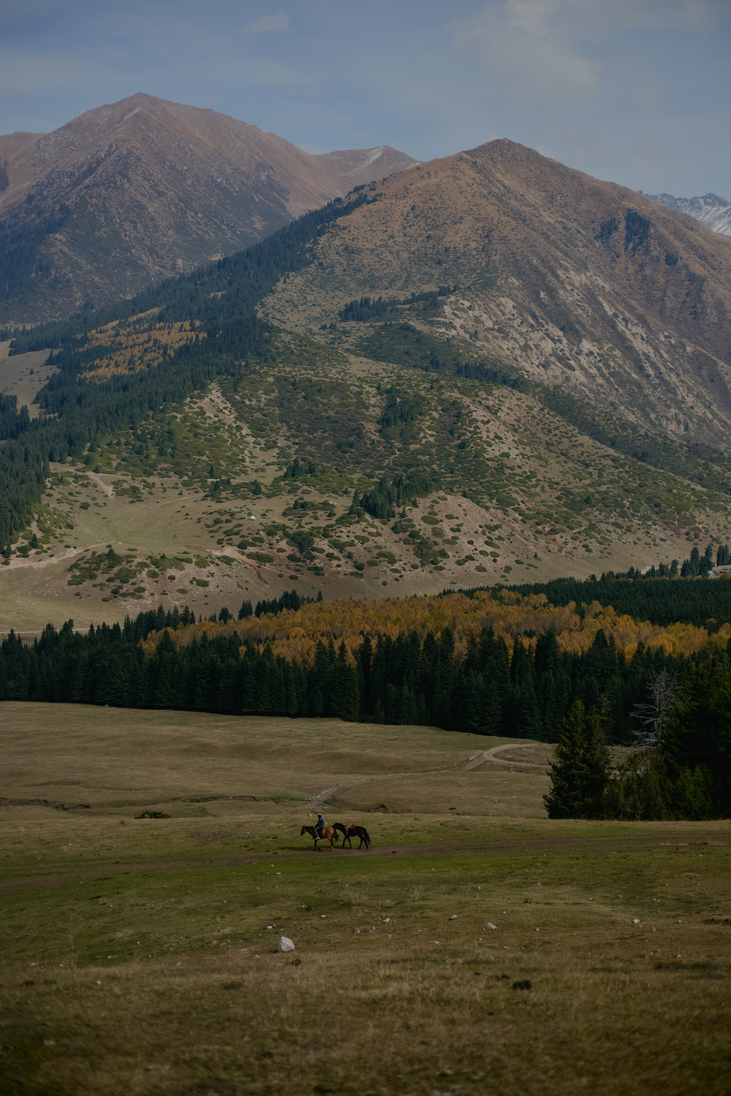 Кыргызтан. Профессиональный Фотограф во Владимире, в Москве и в Суздале — Полина Романычева