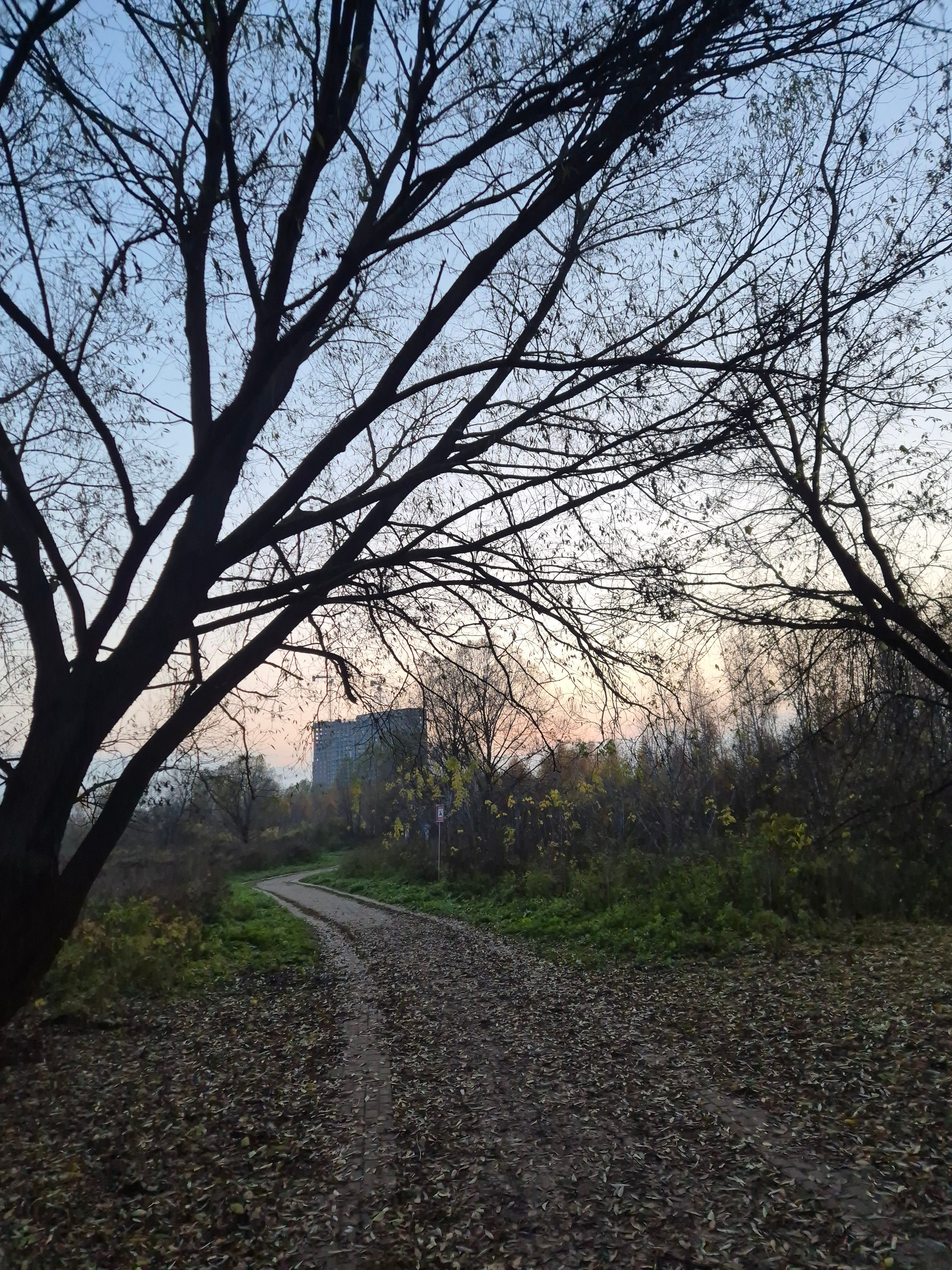 Прогулка вокруг пруда не оправдала надежд - тропинка вела не вдоль берега
