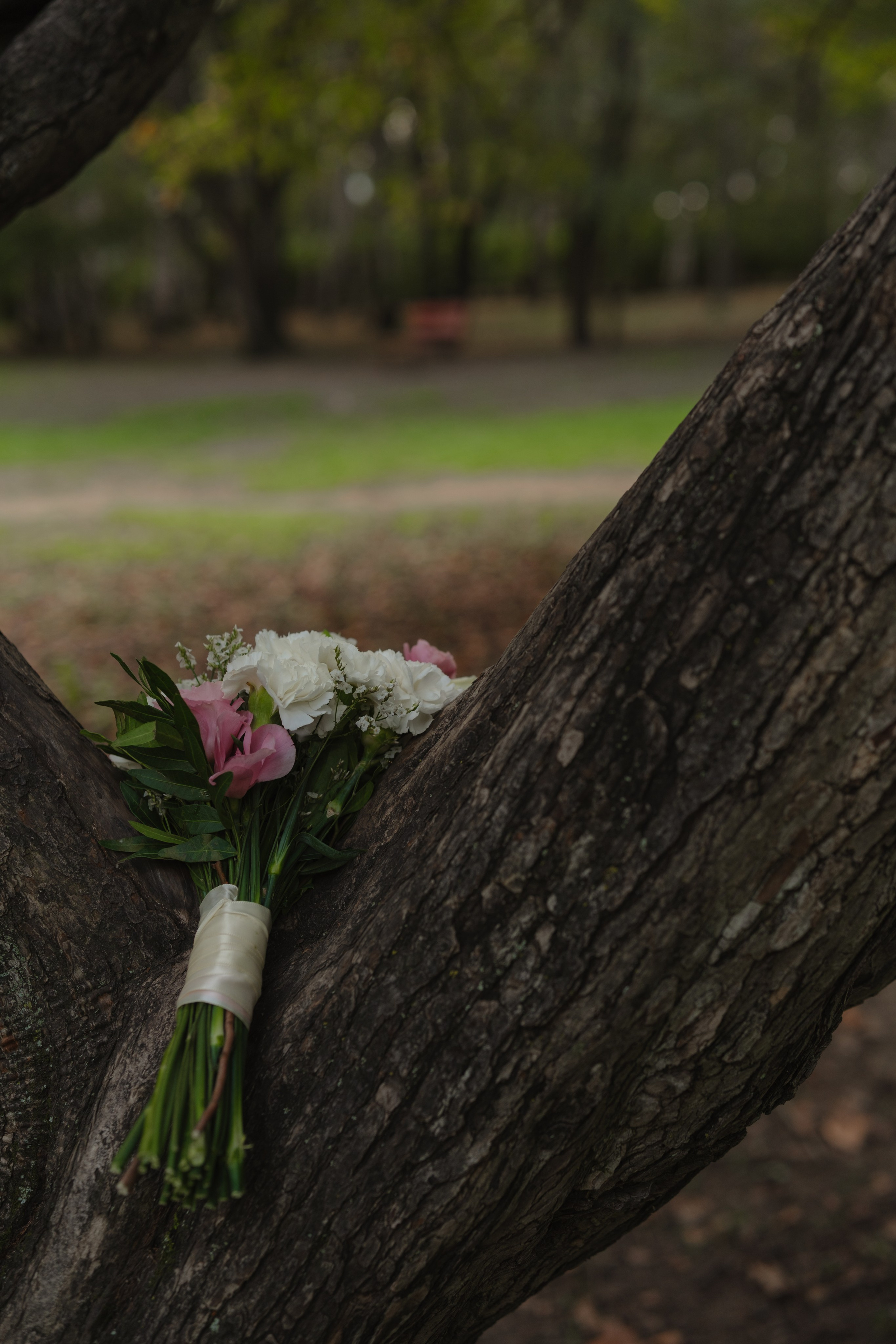 Екатерина и Виктор. Анастасия Хисматуллина портретный фотограф в Уссурийске и Владивостоке