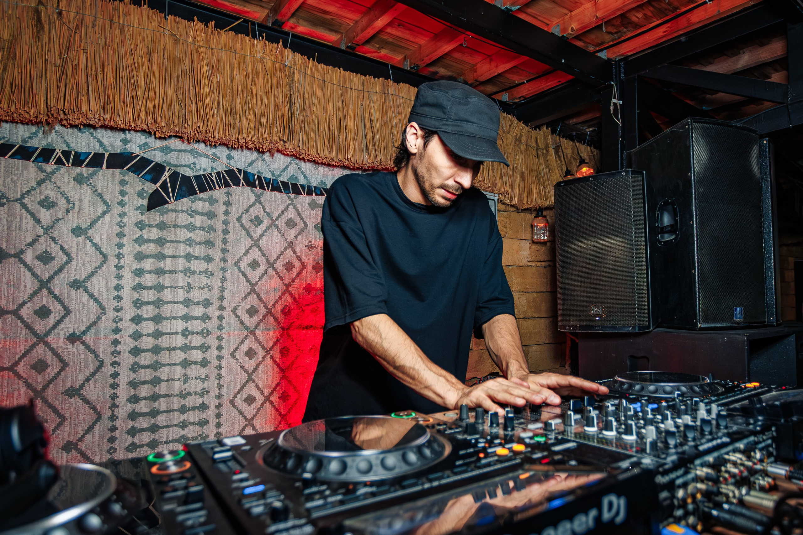 «Митя Фомин"_Чайка на пляже_Ялта_28.06.2025 г. Аминов Руслан | Фотограф