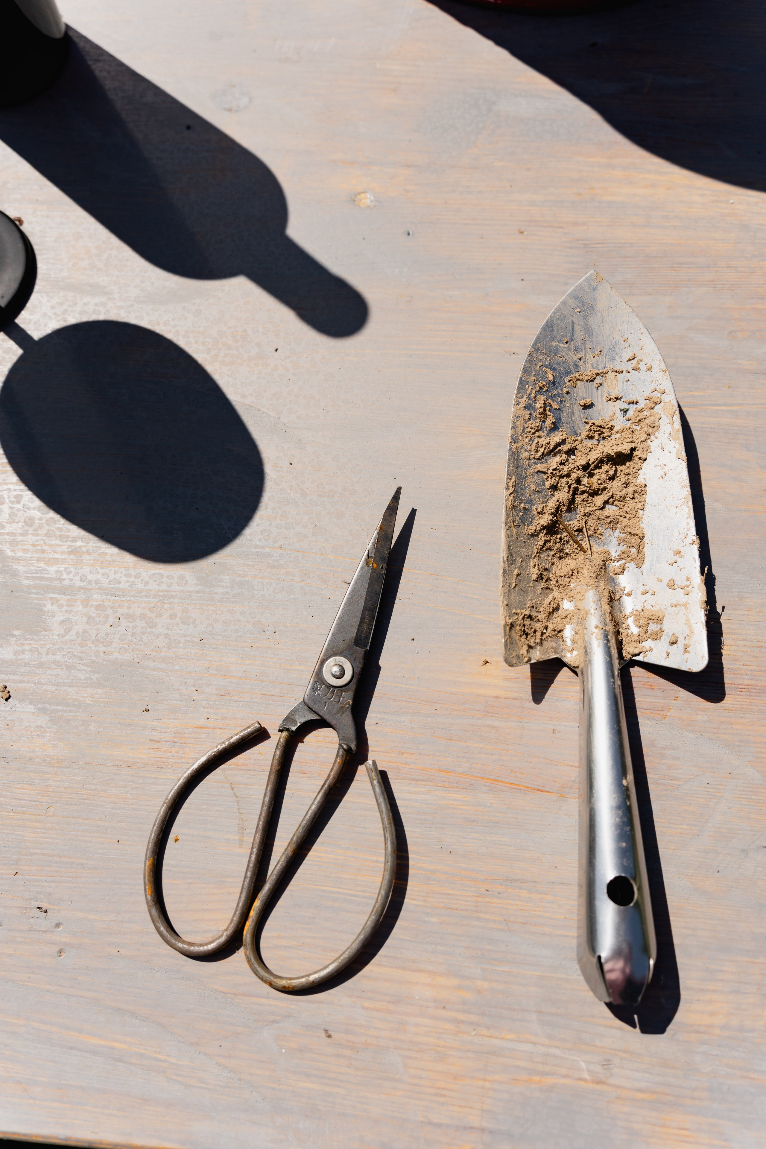 Семейный питомник. Виктория Саханкова — портретный и семейный фотограф в Москве