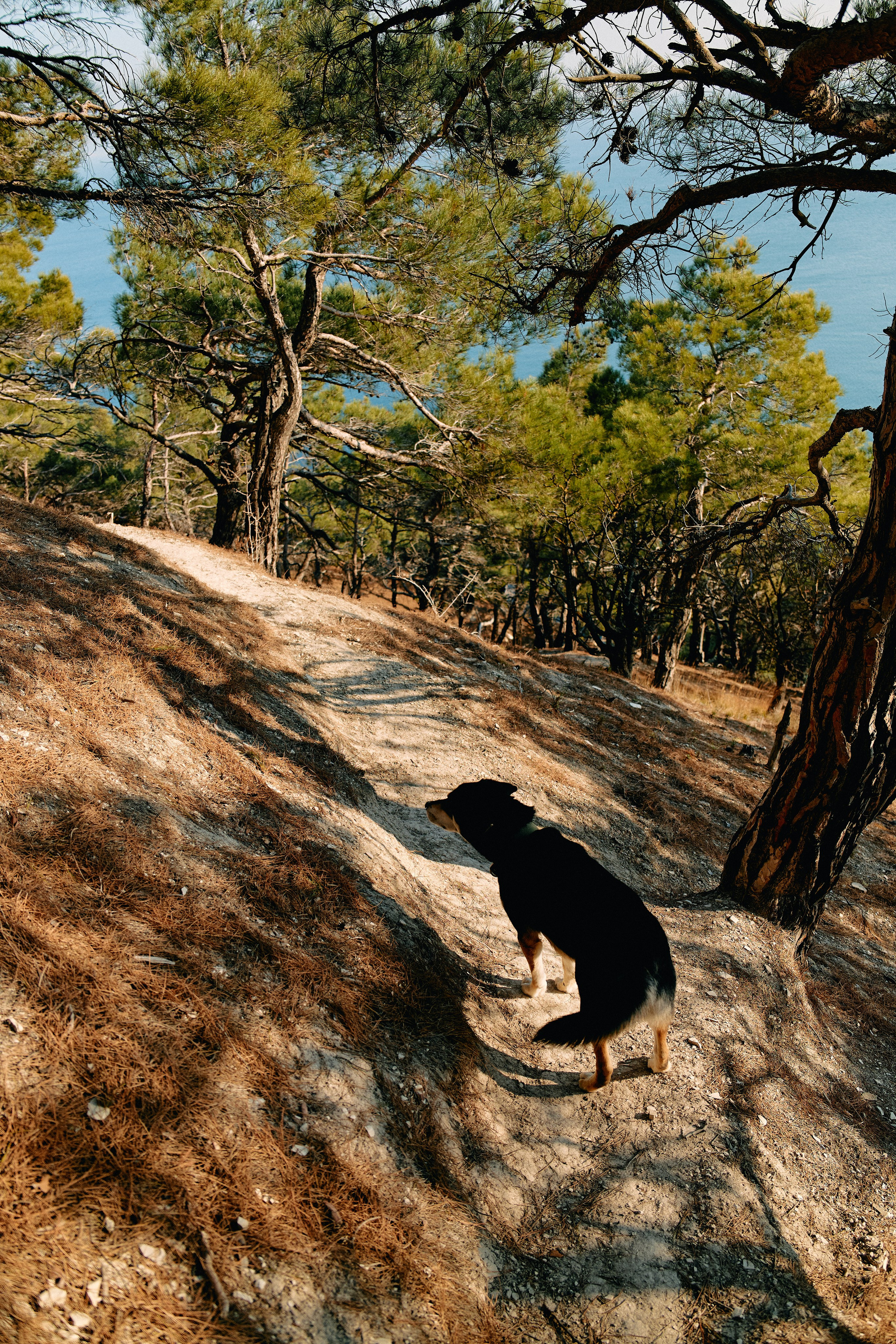 Юг России. Профессиональный Фотограф во Владимире, в Москве и в Суздале — Полина Романычева