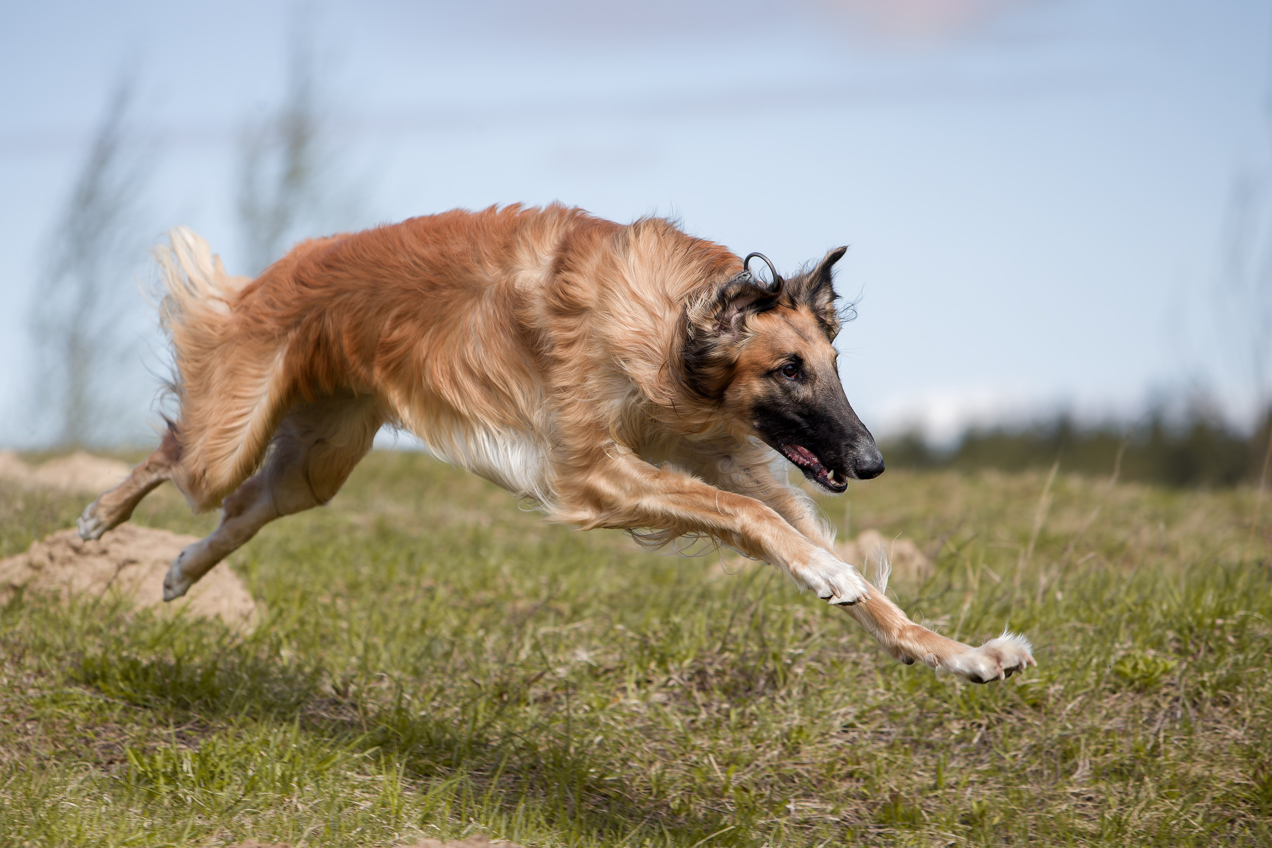 Lure Club 2025. Irenephoto.ru