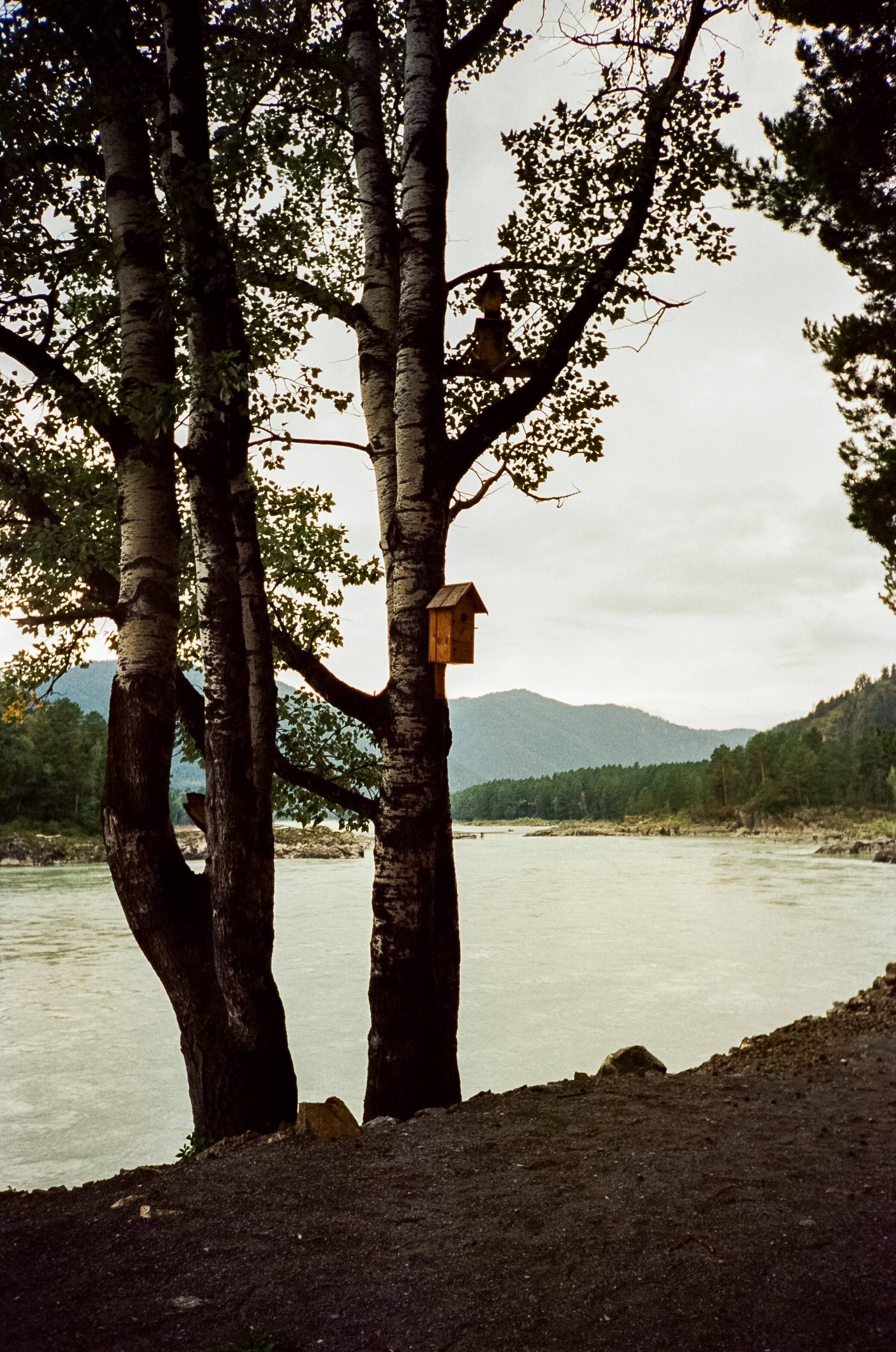 Остров Патмос и Сила Алтая. Фотограф-документалист Мария Осокина