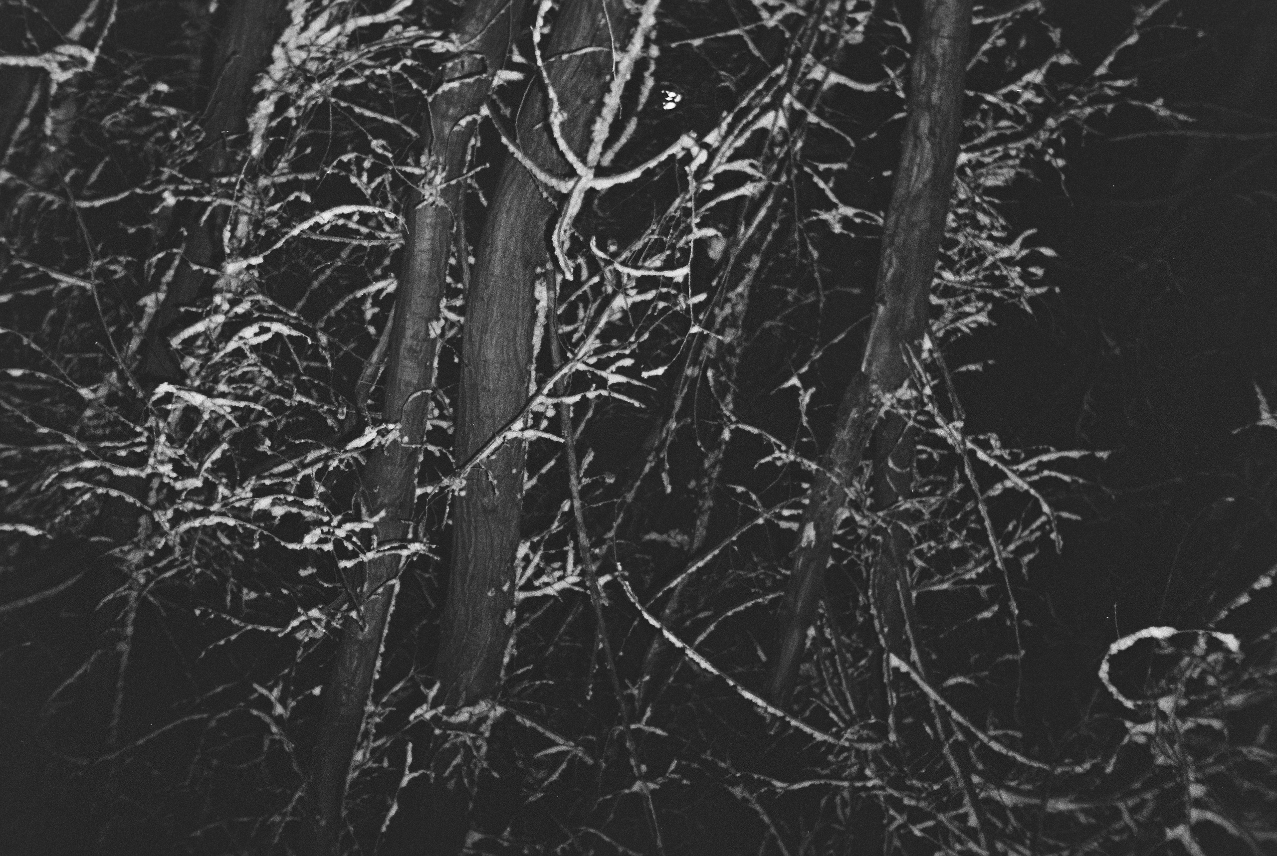 Плёночные воспоминания. Портретный и коллажный фотограф из Москвы